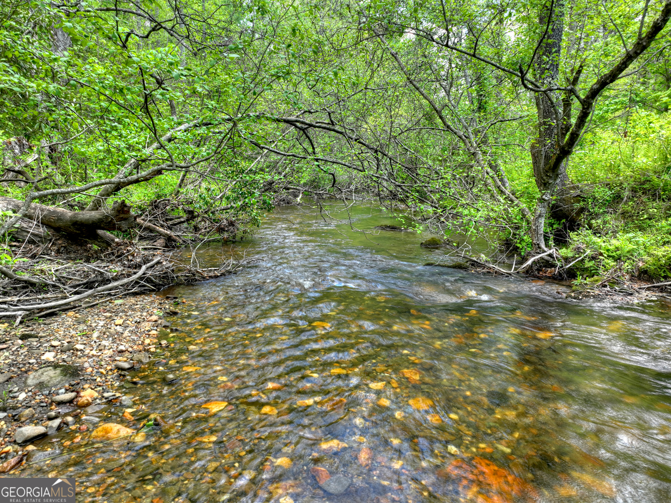 14092 Big Creek Road Property Photo 9