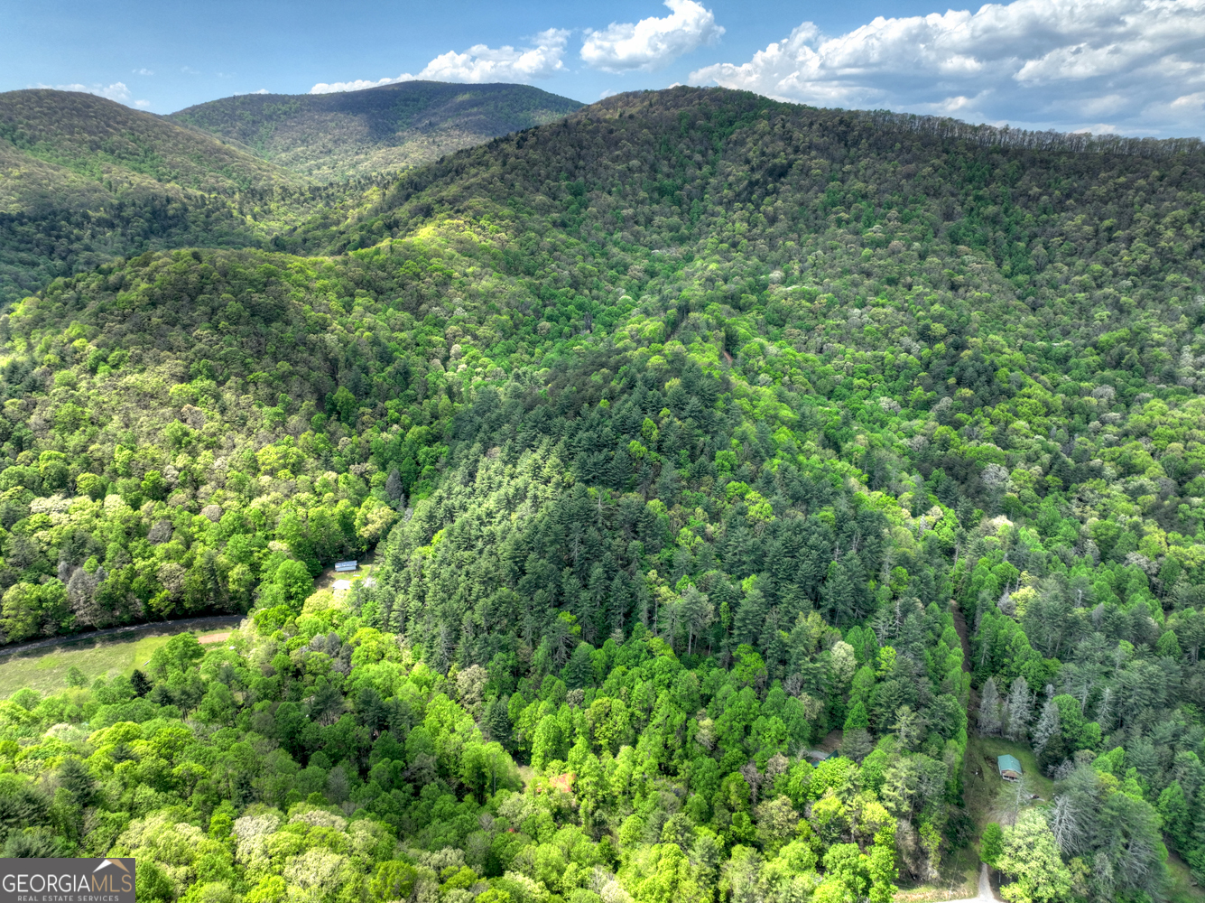14092 Big Creek Road Property Photo 32