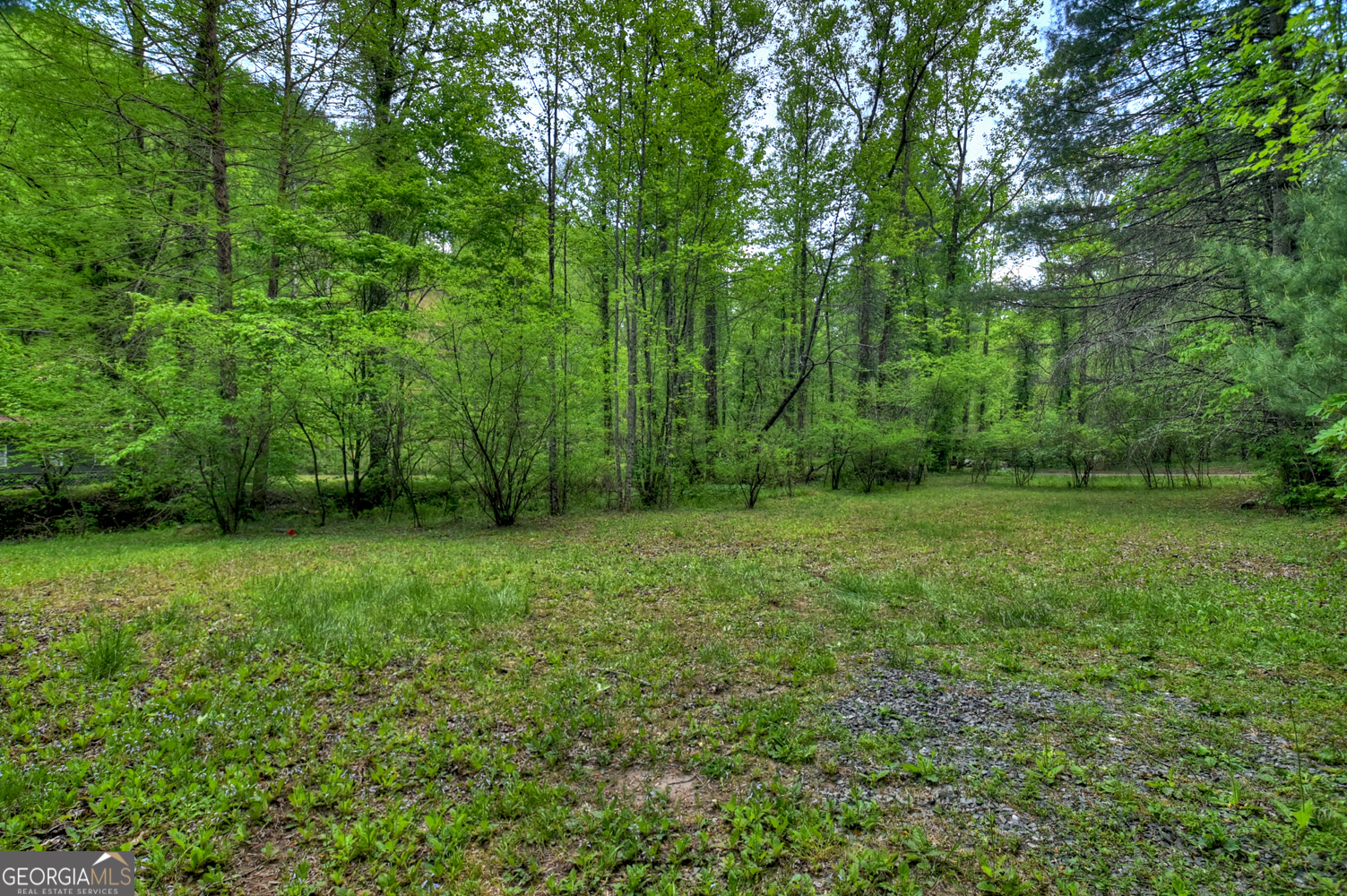 14092 Big Creek Road Property Photo 39