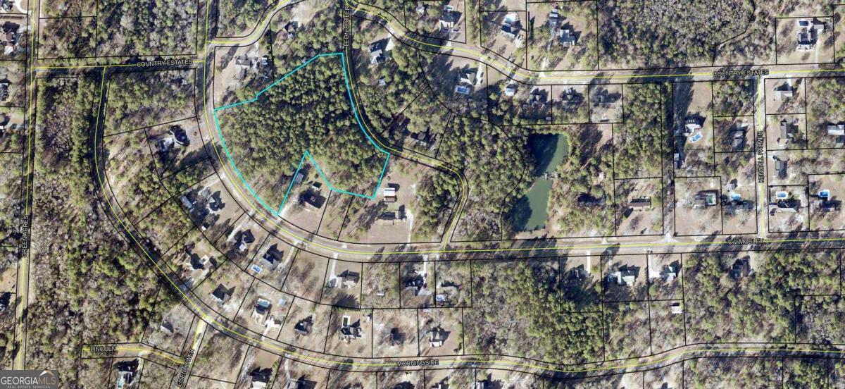 0 Cv Mosely Boulevard Property Photo 1