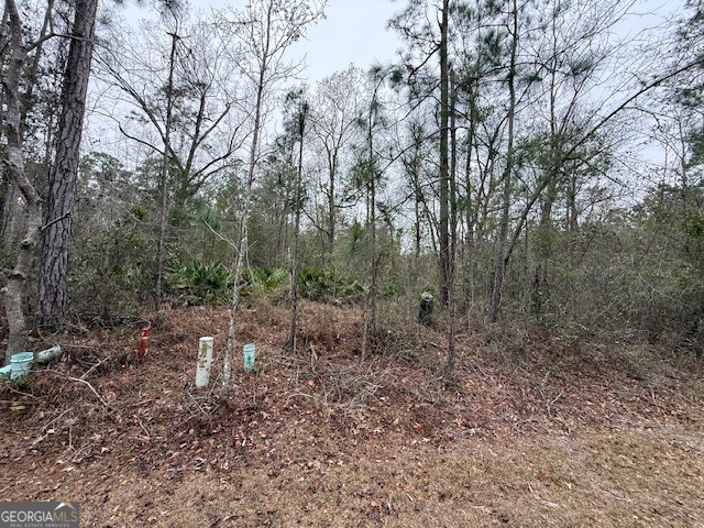 V/L 104 Satilla River Landing Property Photo 1