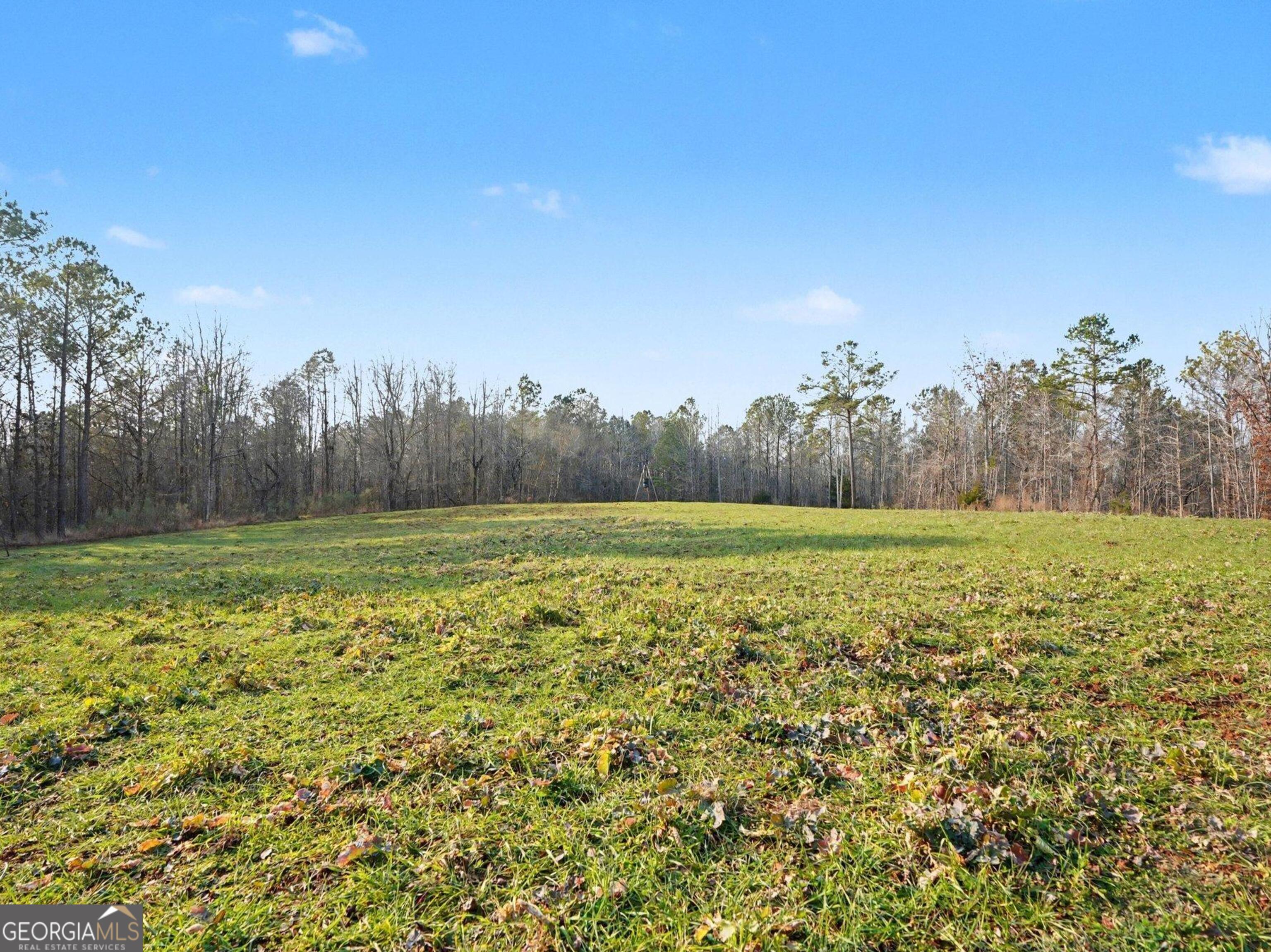 0 Logtown Road Property Photo 1