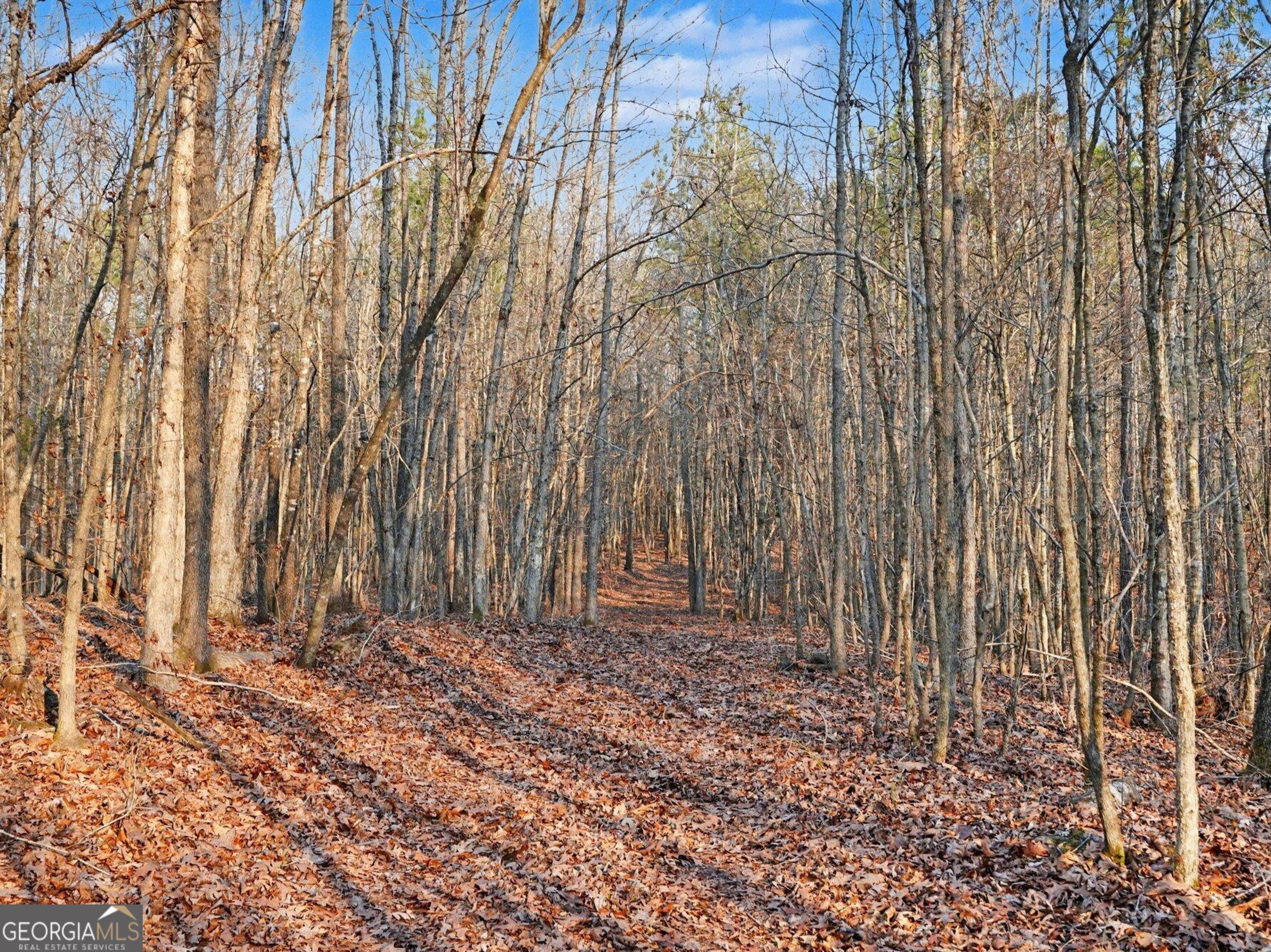 0 Logtown Road Property Photo 2
