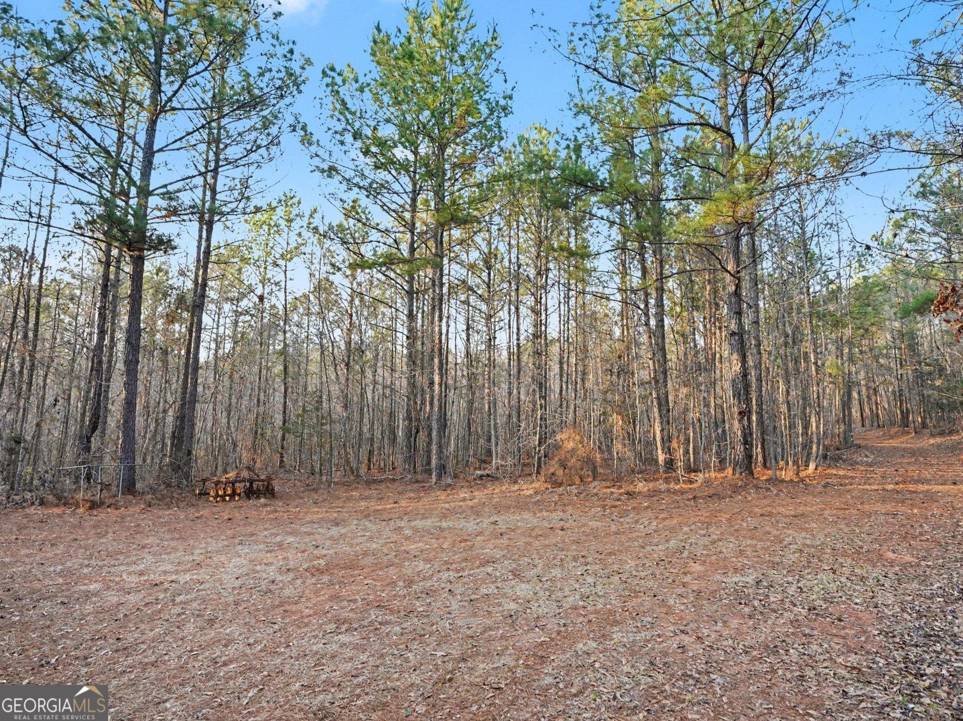 0 Logtown Road Property Photo 3
