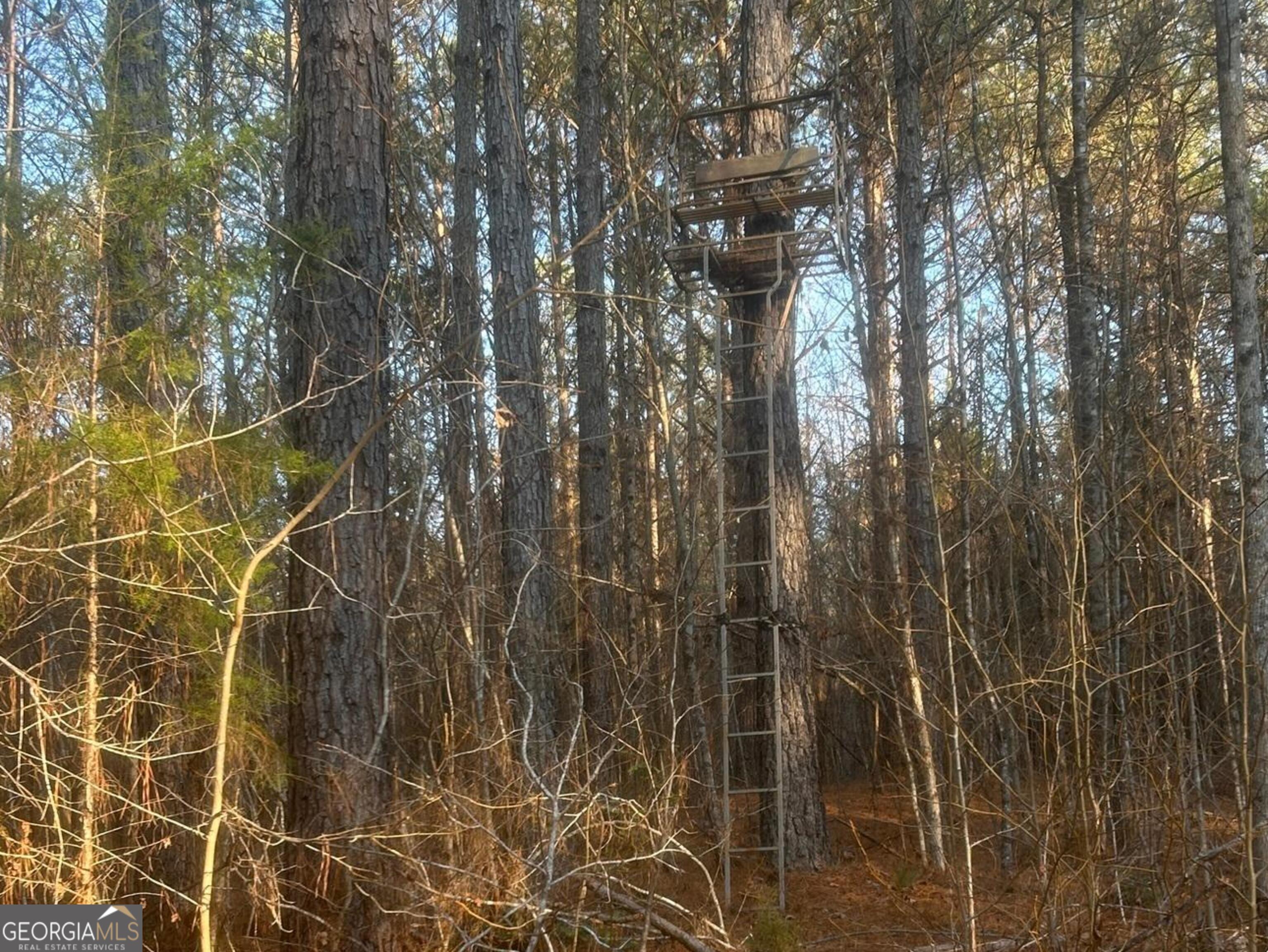0 Logtown Road Property Photo 30