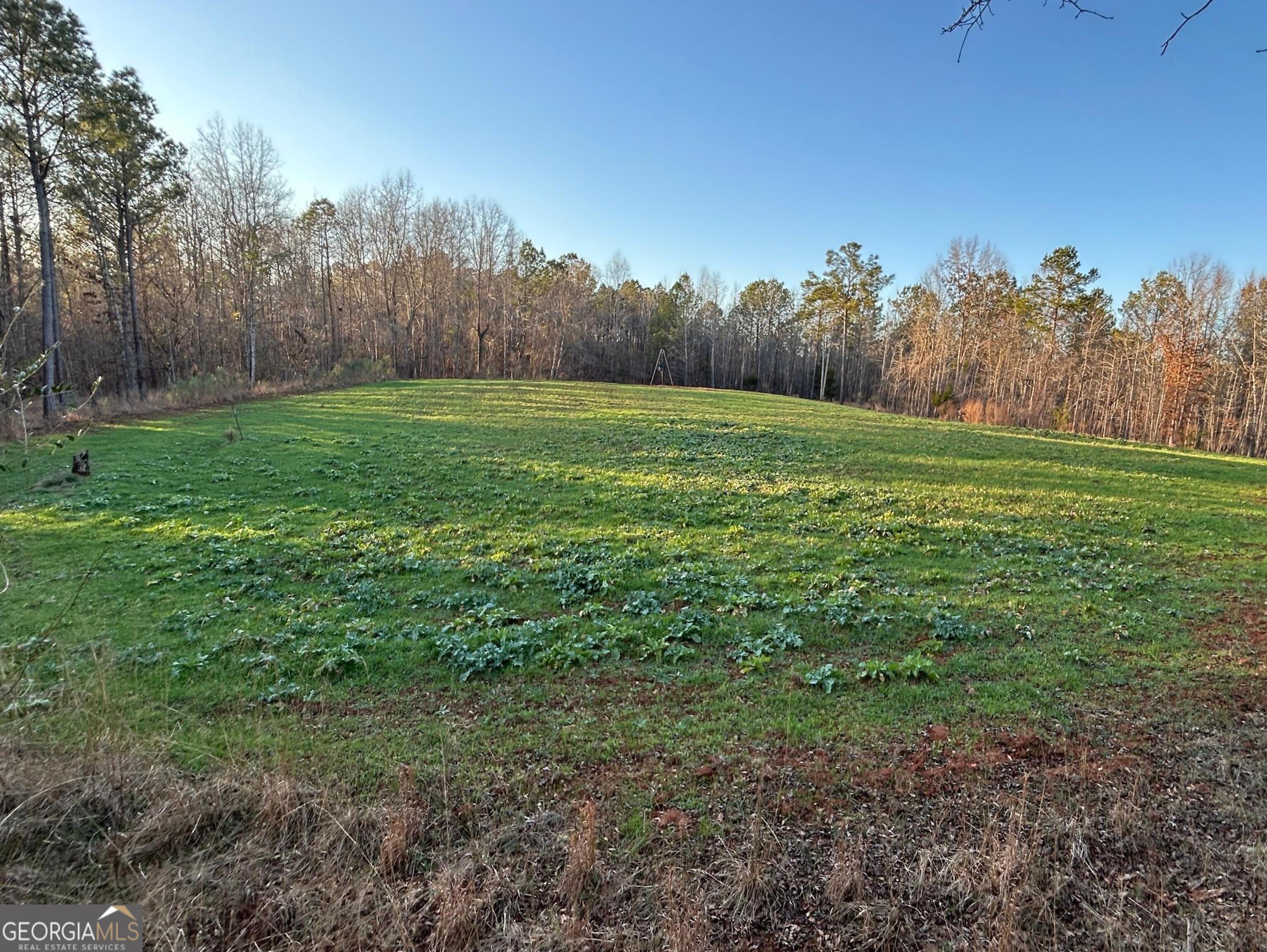 0 Logtown Road Property Photo 31
