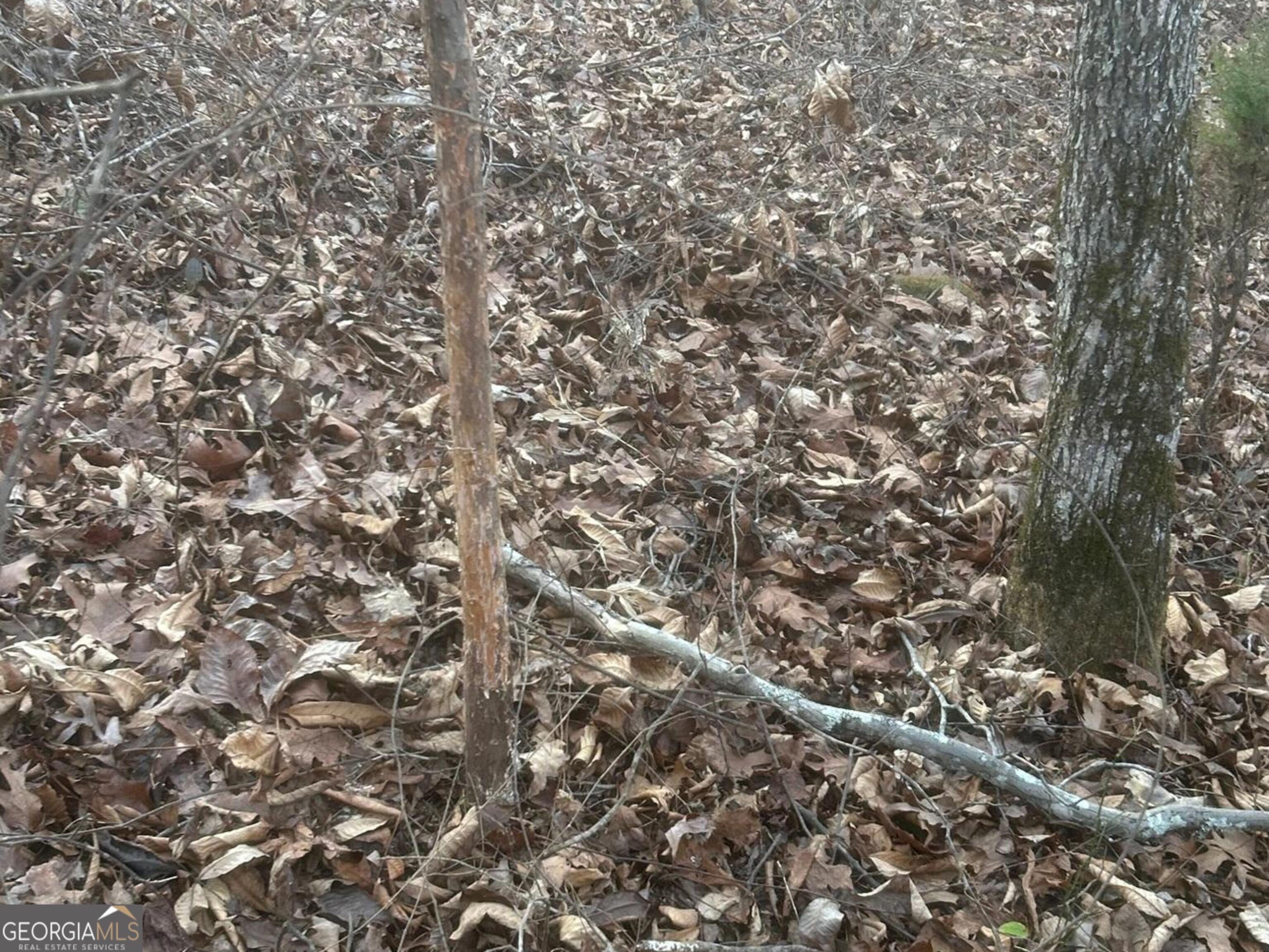 0 Logtown Road Property Photo 39