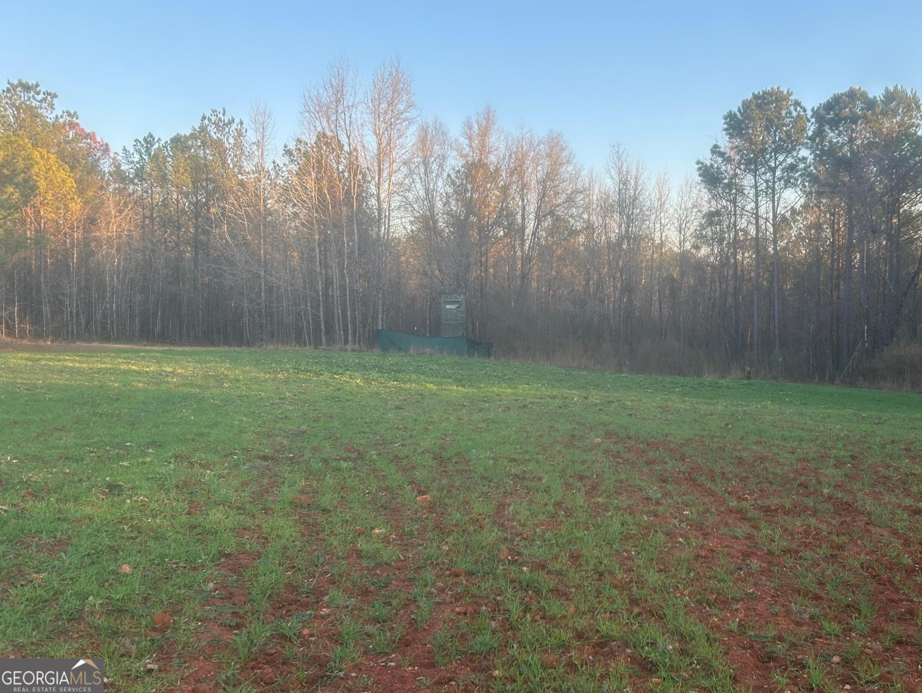 0 Logtown Road Property Photo 42