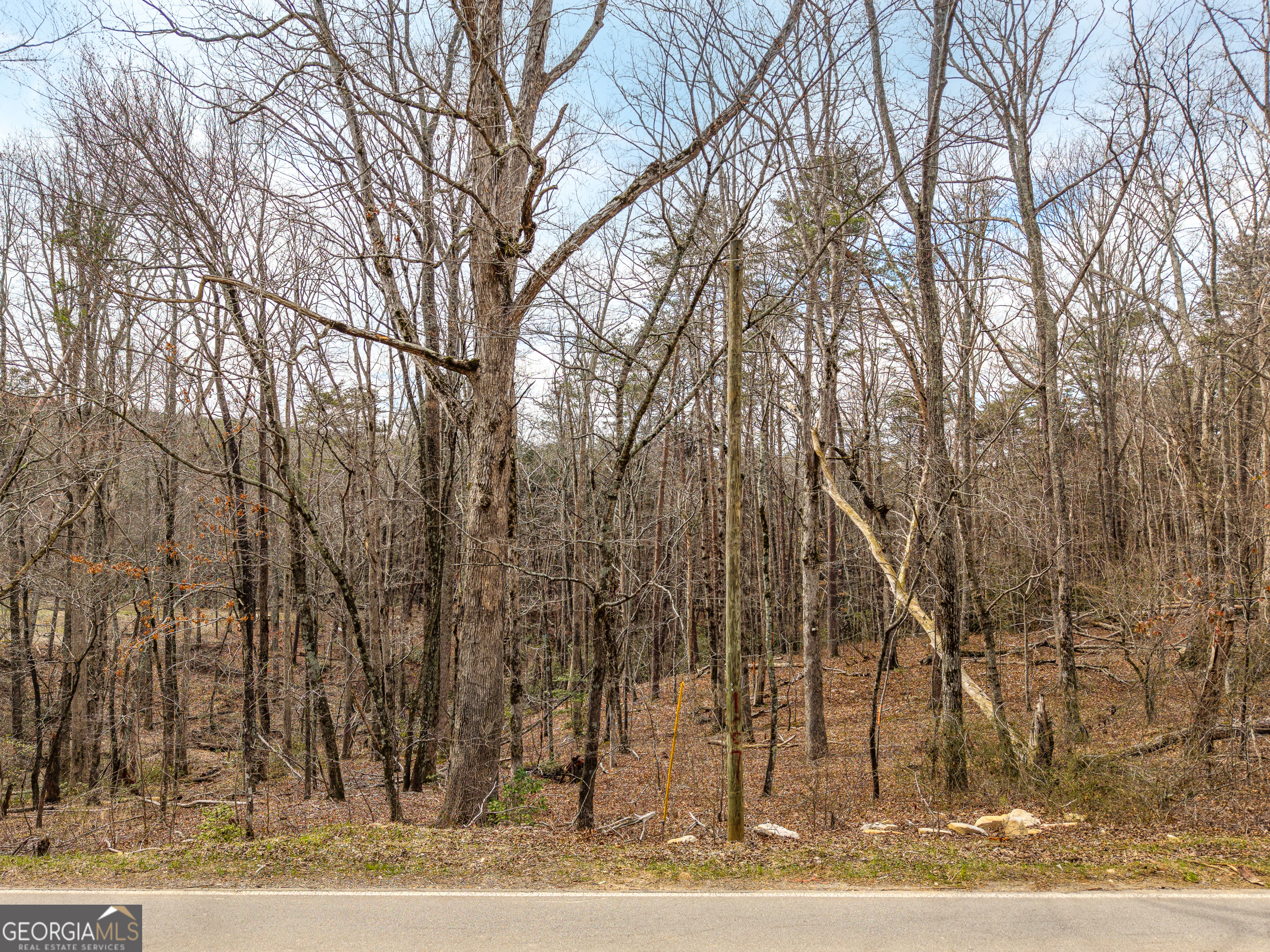 Lt 167 Henderson Mountain Road Property Photo 3