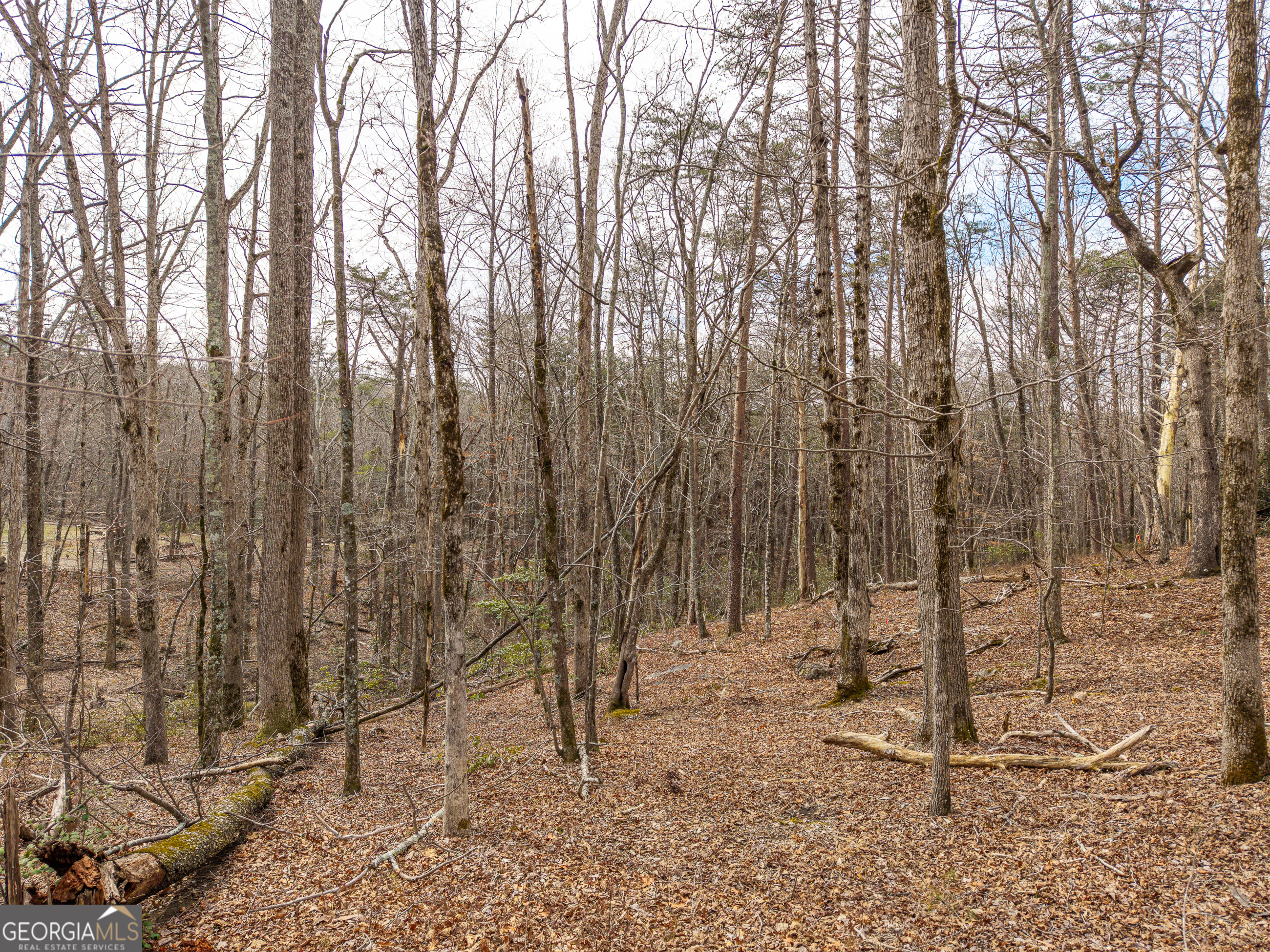 Lt 167 Henderson Mountain Road Property Photo 4