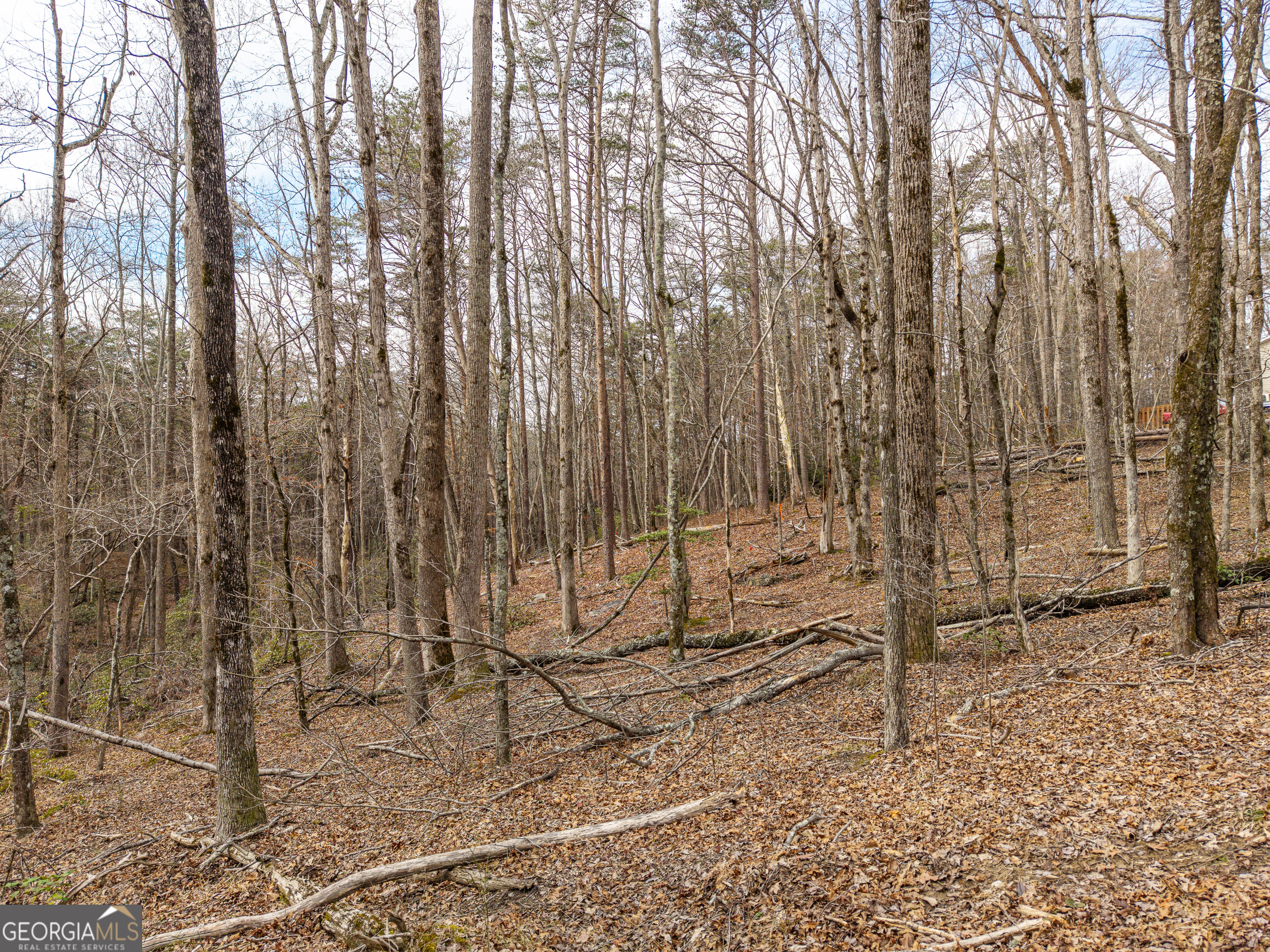 Lt 167 Henderson Mountain Road Property Photo 5