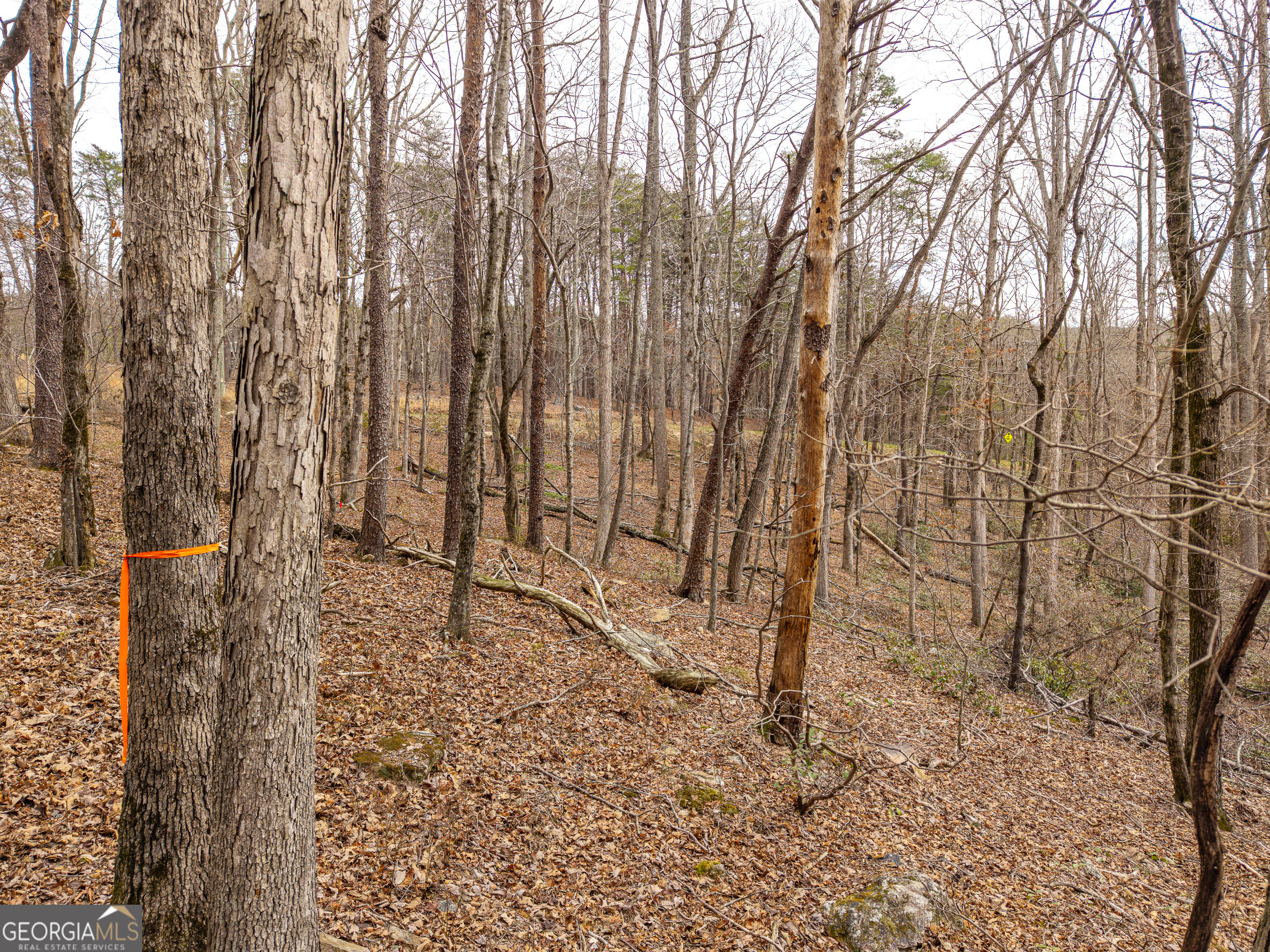 Lt 167 Henderson Mountain Road Property Photo 6