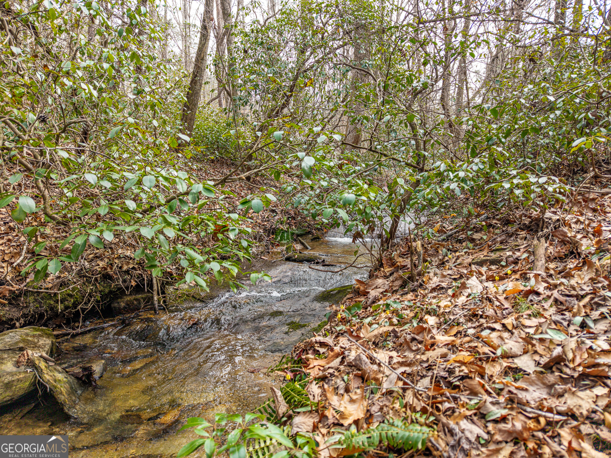Lt 167 Henderson Mountain Road Property Photo 7