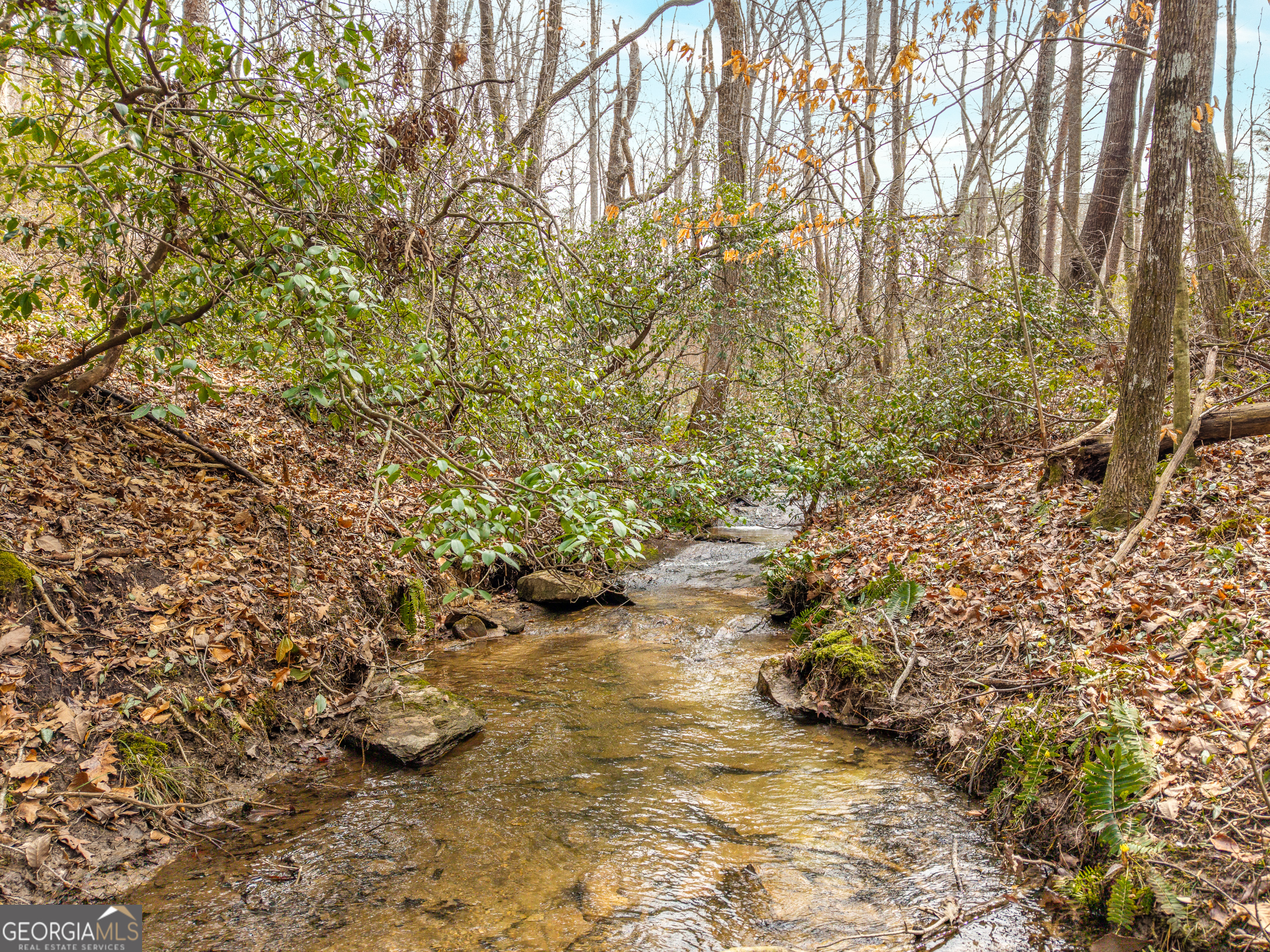 Lt 167 Henderson Mountain Road Property Photo 8