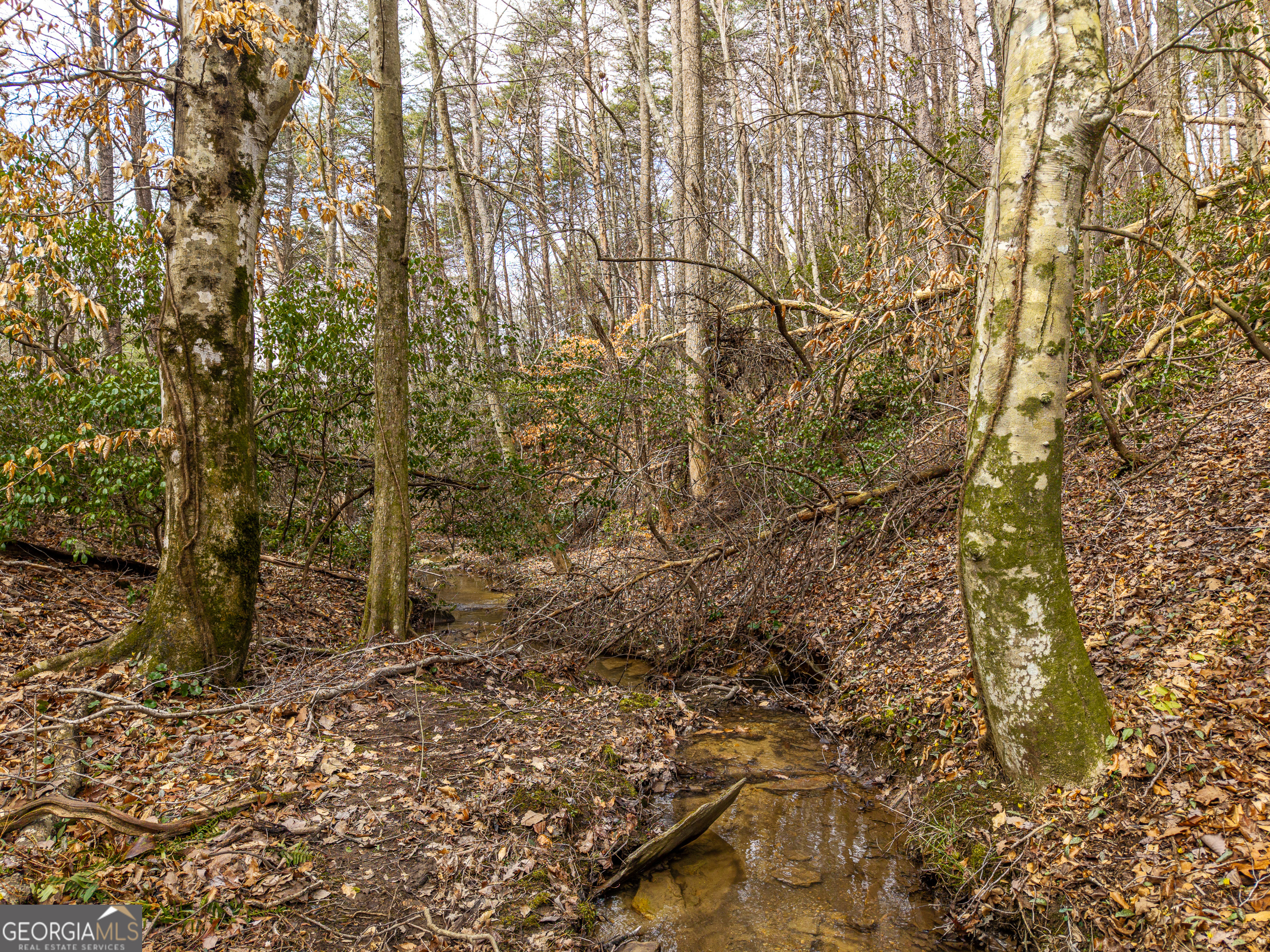 Lt 167 Henderson Mountain Road Property Photo 9
