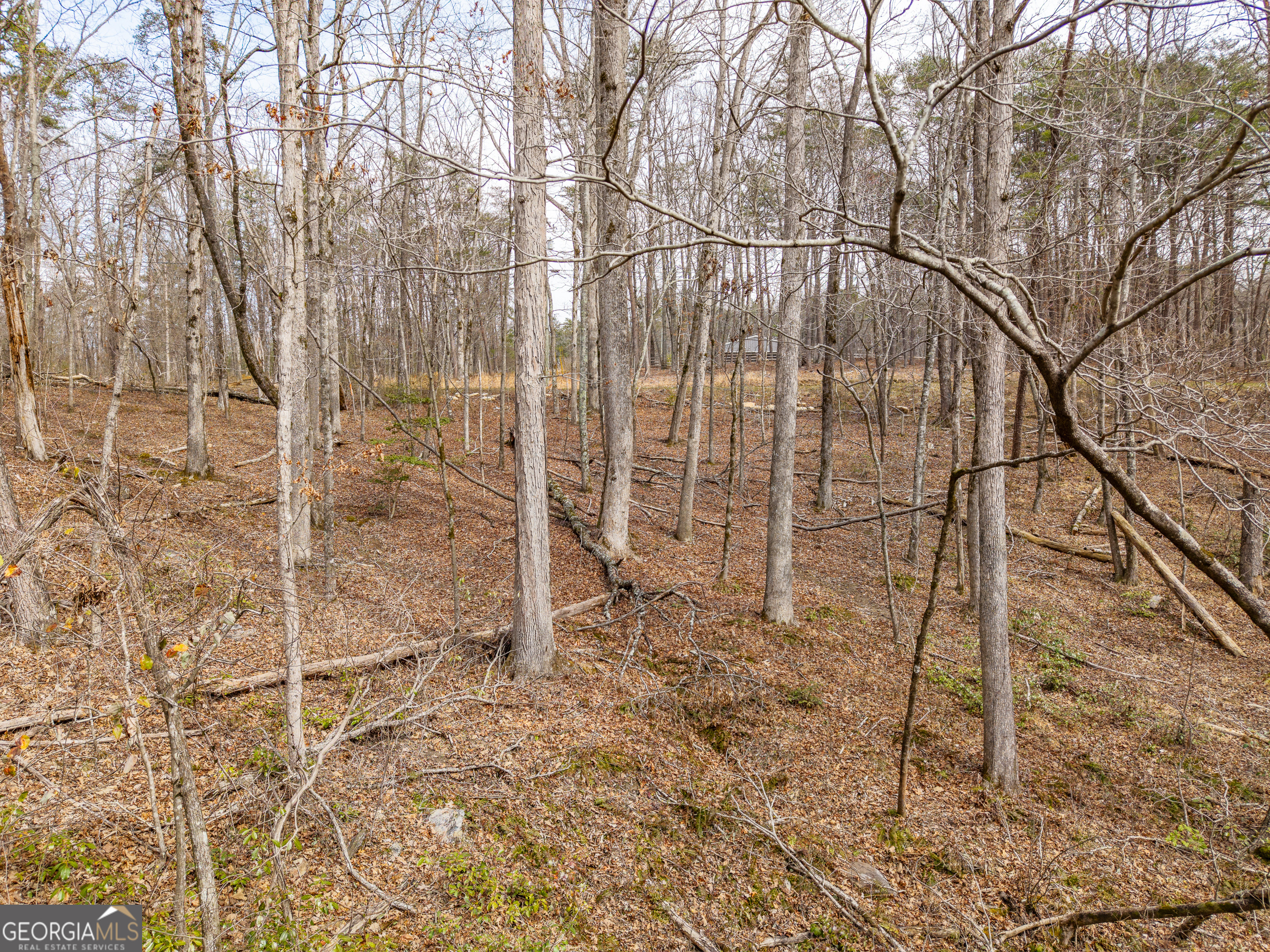 Lt 167 Henderson Mountain Road Property Photo 10