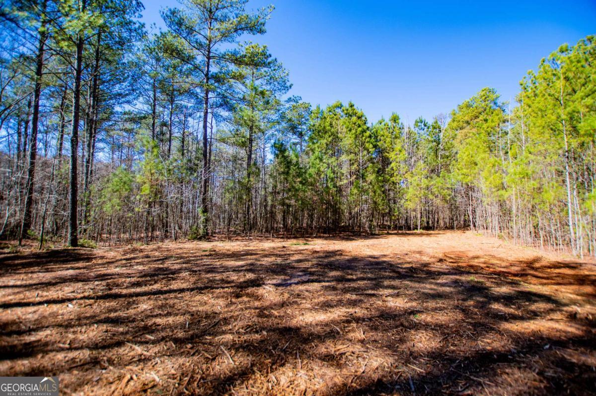 0 Hwy 166 E - 21+ Acres E Property Photo 1