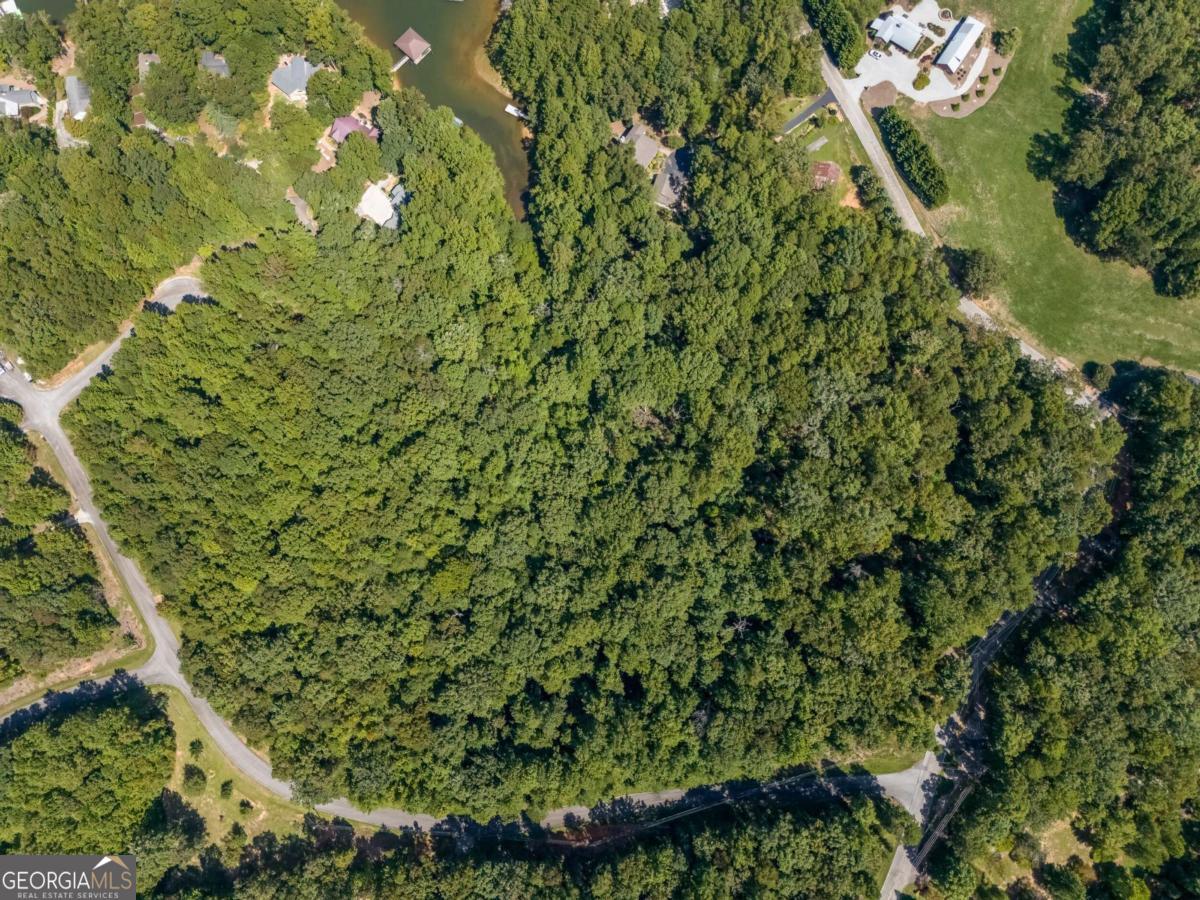 Lots 1 & 2 Twin Knolls Trail Property Photo 5