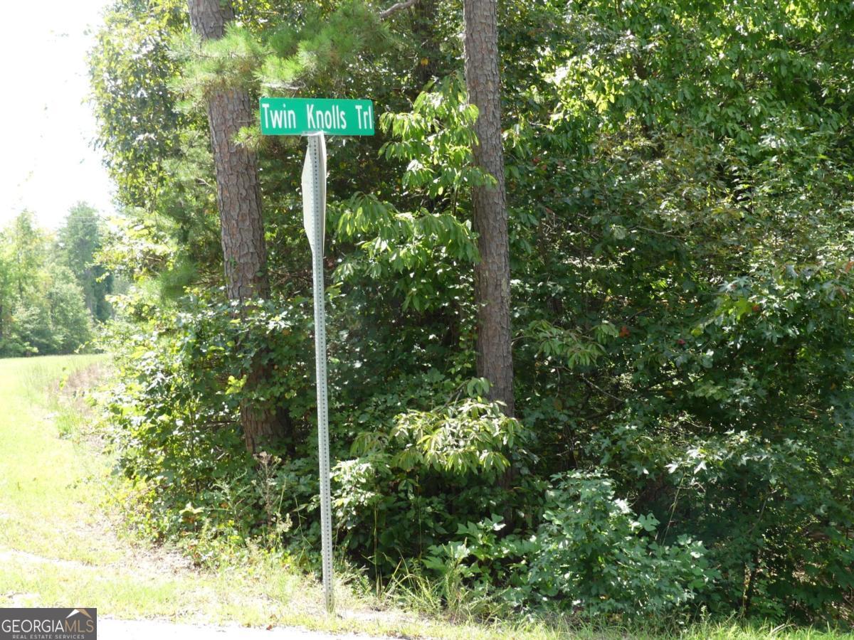 Lots 1 & 2 Twin Knolls Trail Property Photo 13