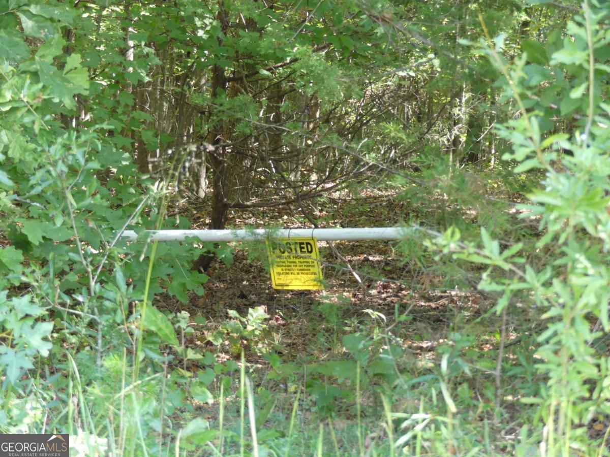 Lots 1 & 2 Twin Knolls Trail Property Photo 16