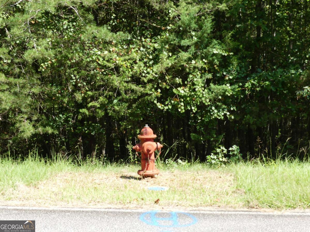 Lots 1 & 2 Twin Knolls Trail Property Photo 17