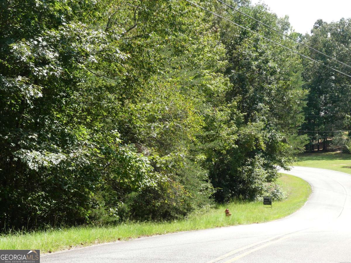 Lots 1 & 2 Twin Knolls Trail Property Photo 18