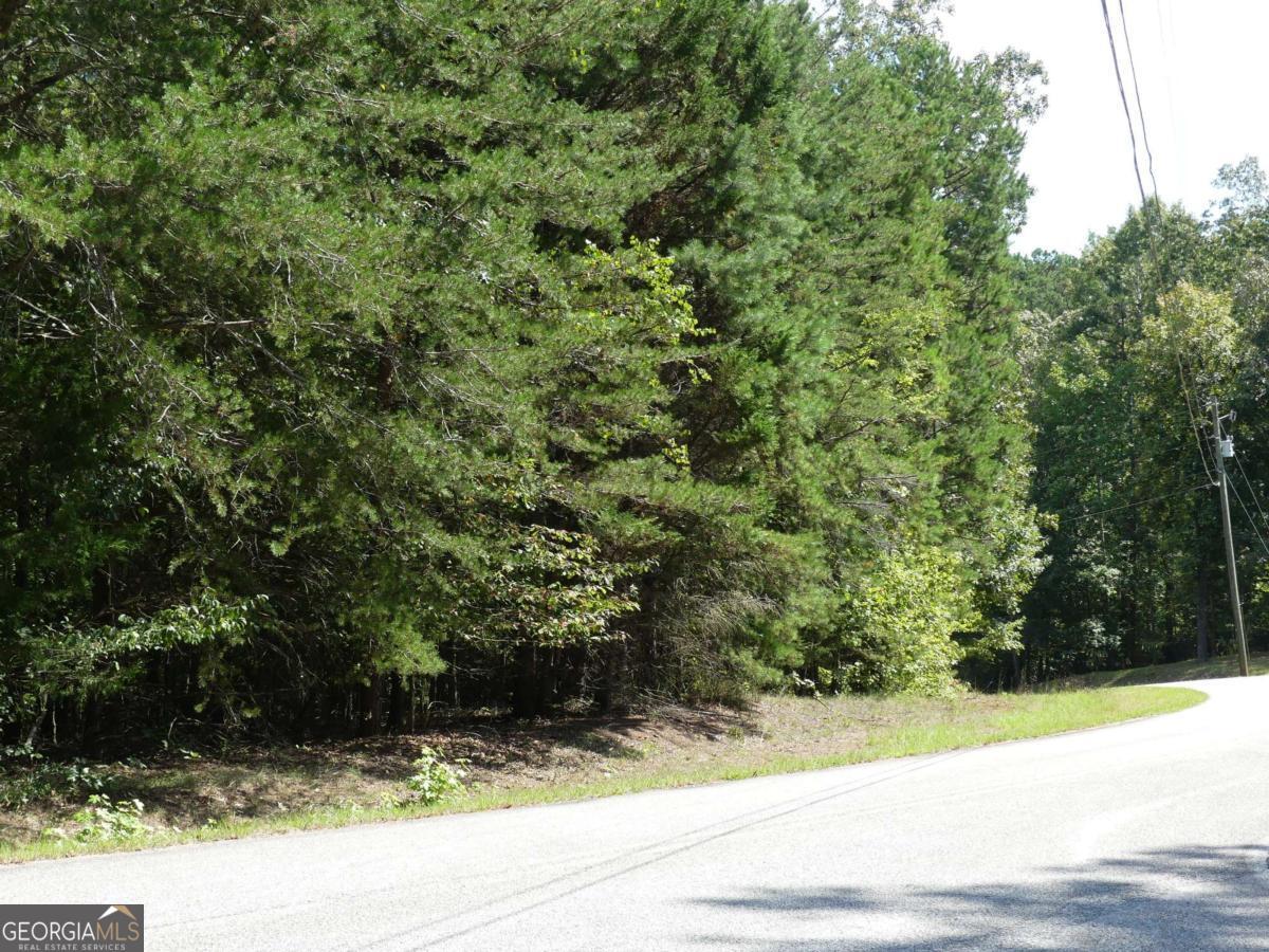 Lots 1 & 2 Twin Knolls Trail Property Photo 19