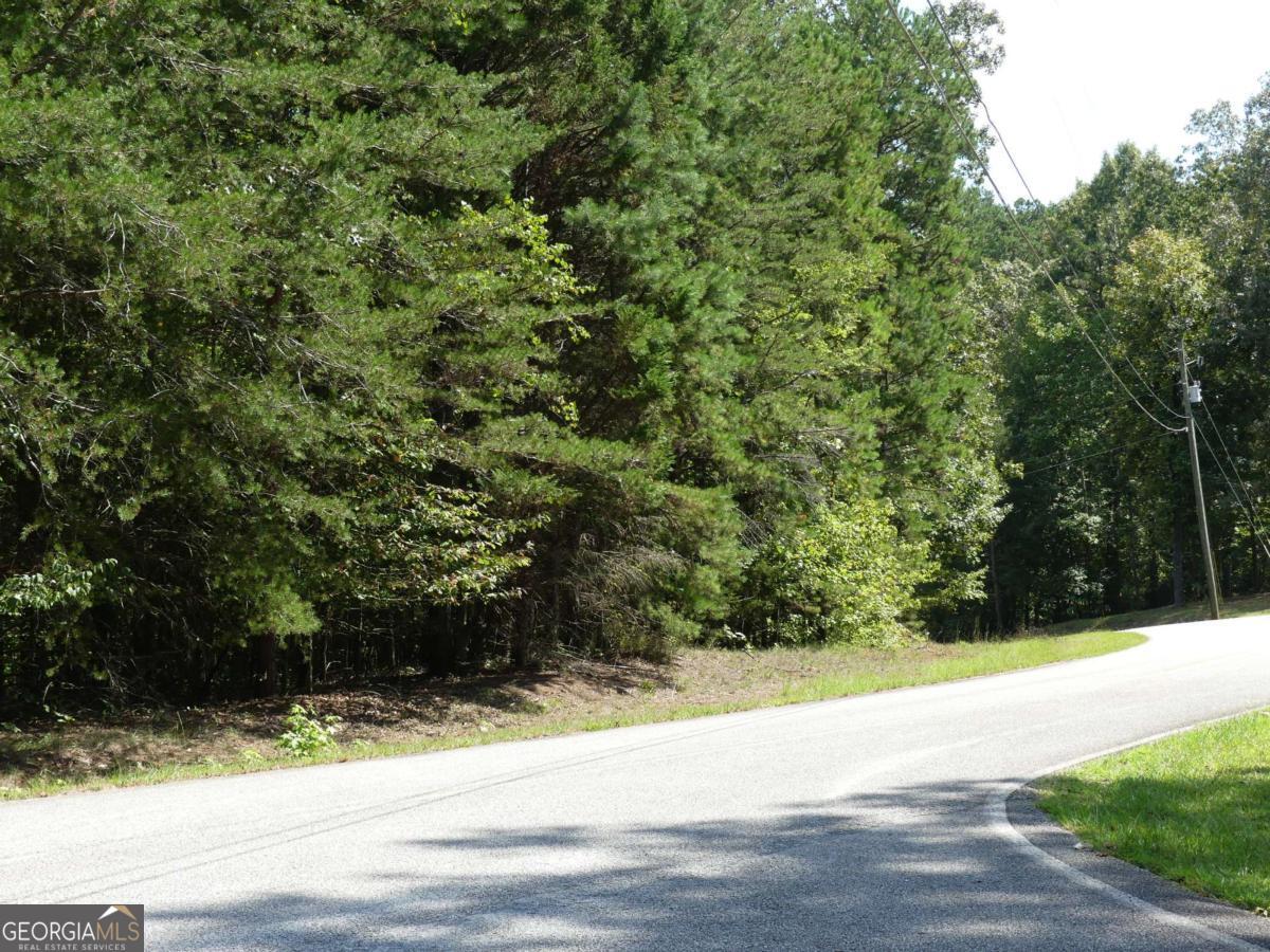 Lots 1 & 2 Twin Knolls Trail Property Photo 20