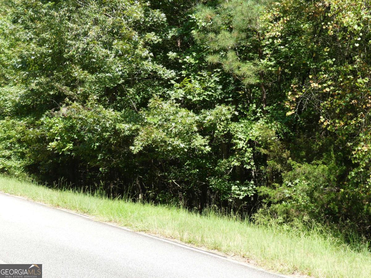 Lots 1 & 2 Twin Knolls Trail Property Photo 21