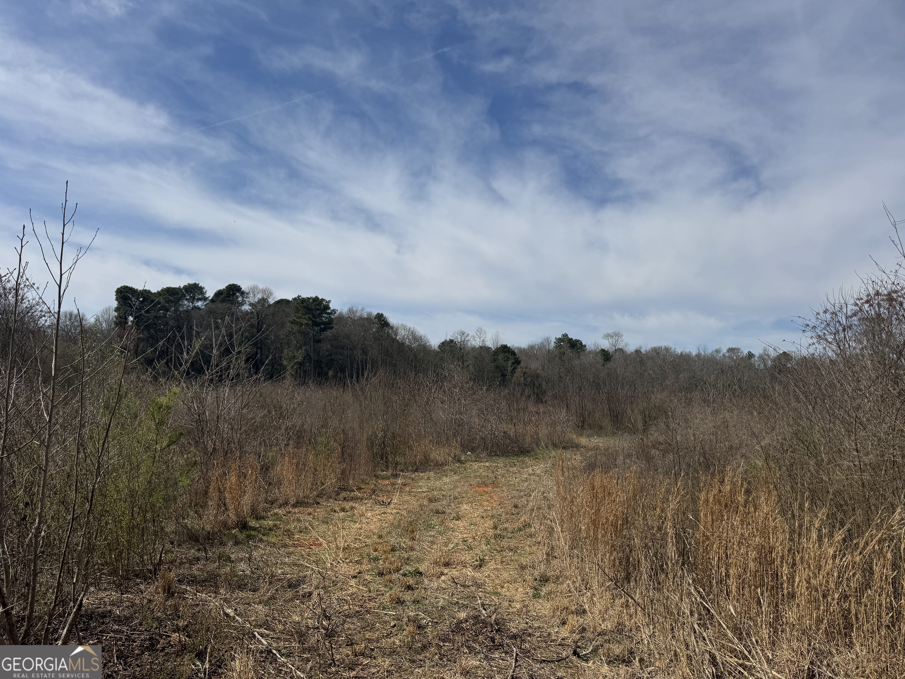 250 Perdue Road Property Photo 5