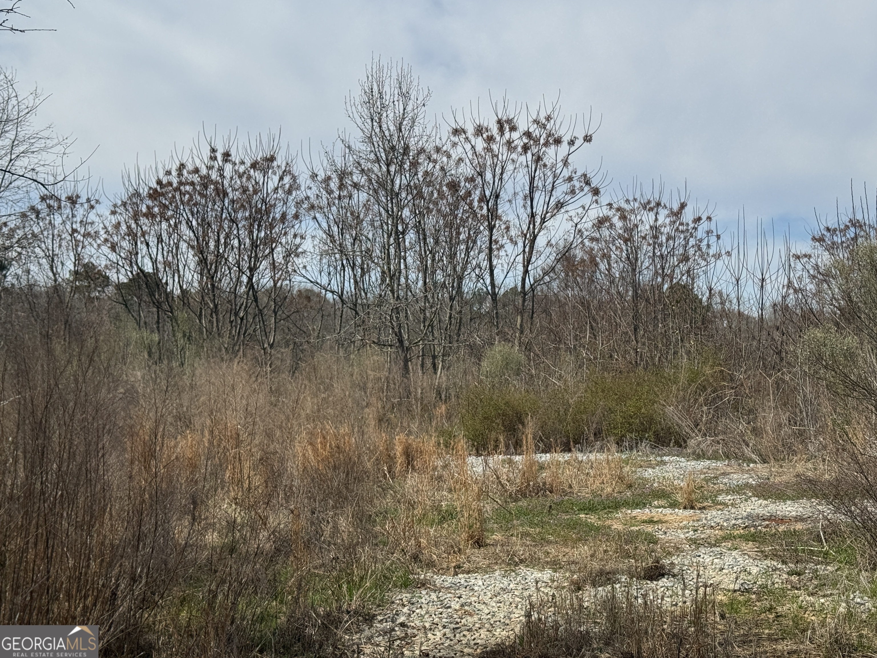 250 Perdue Road Property Photo 6