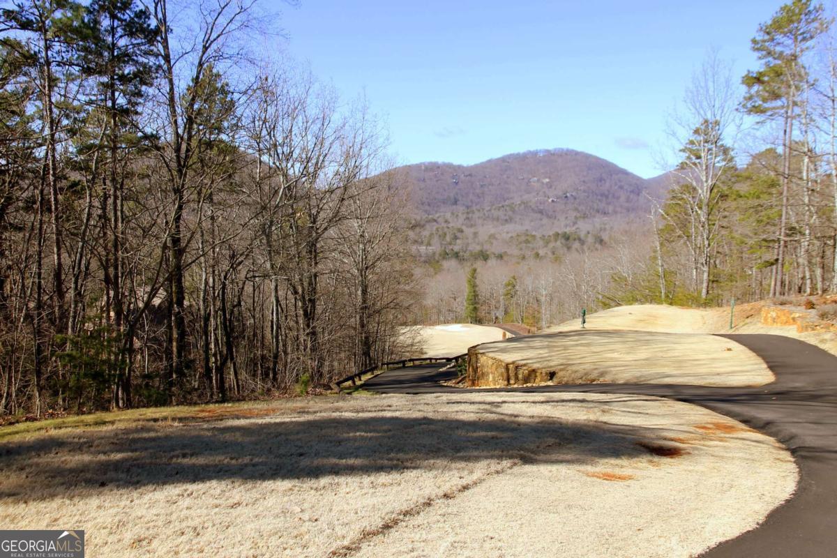 47 Bell Flower Drive Property Photo 10