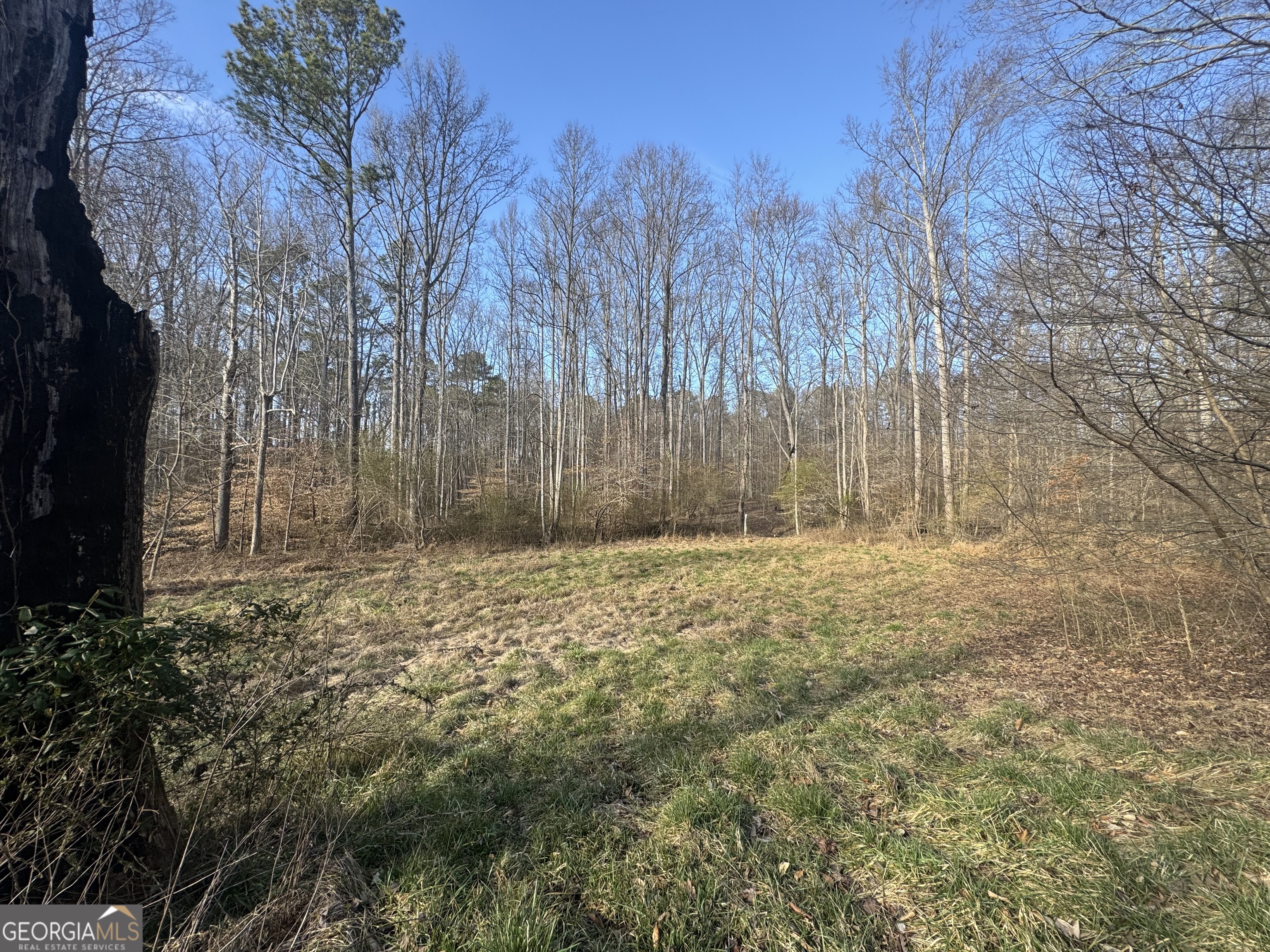 369 Thompson Lane Property Photo 1