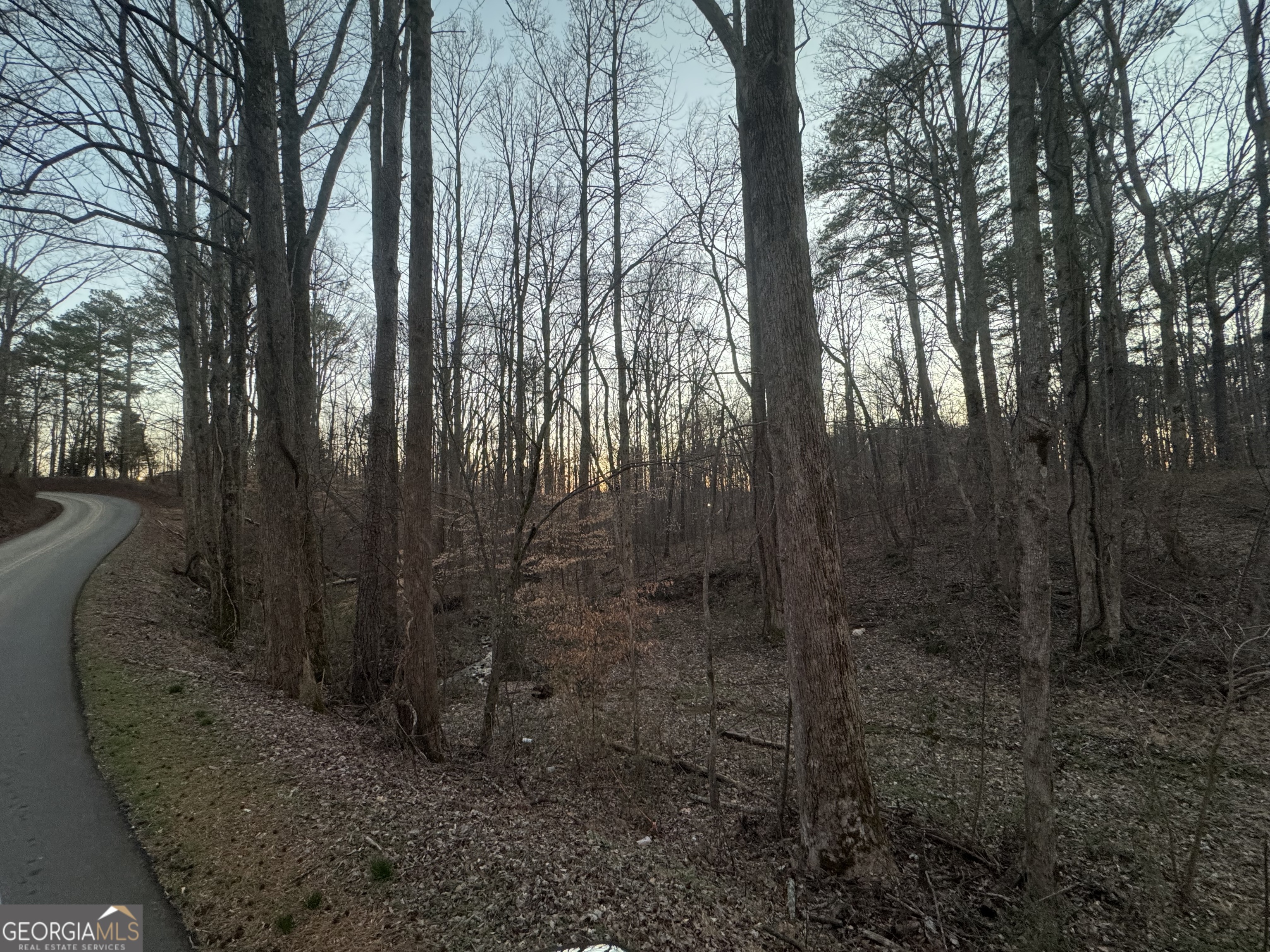 369 Thompson Lane Property Photo 2