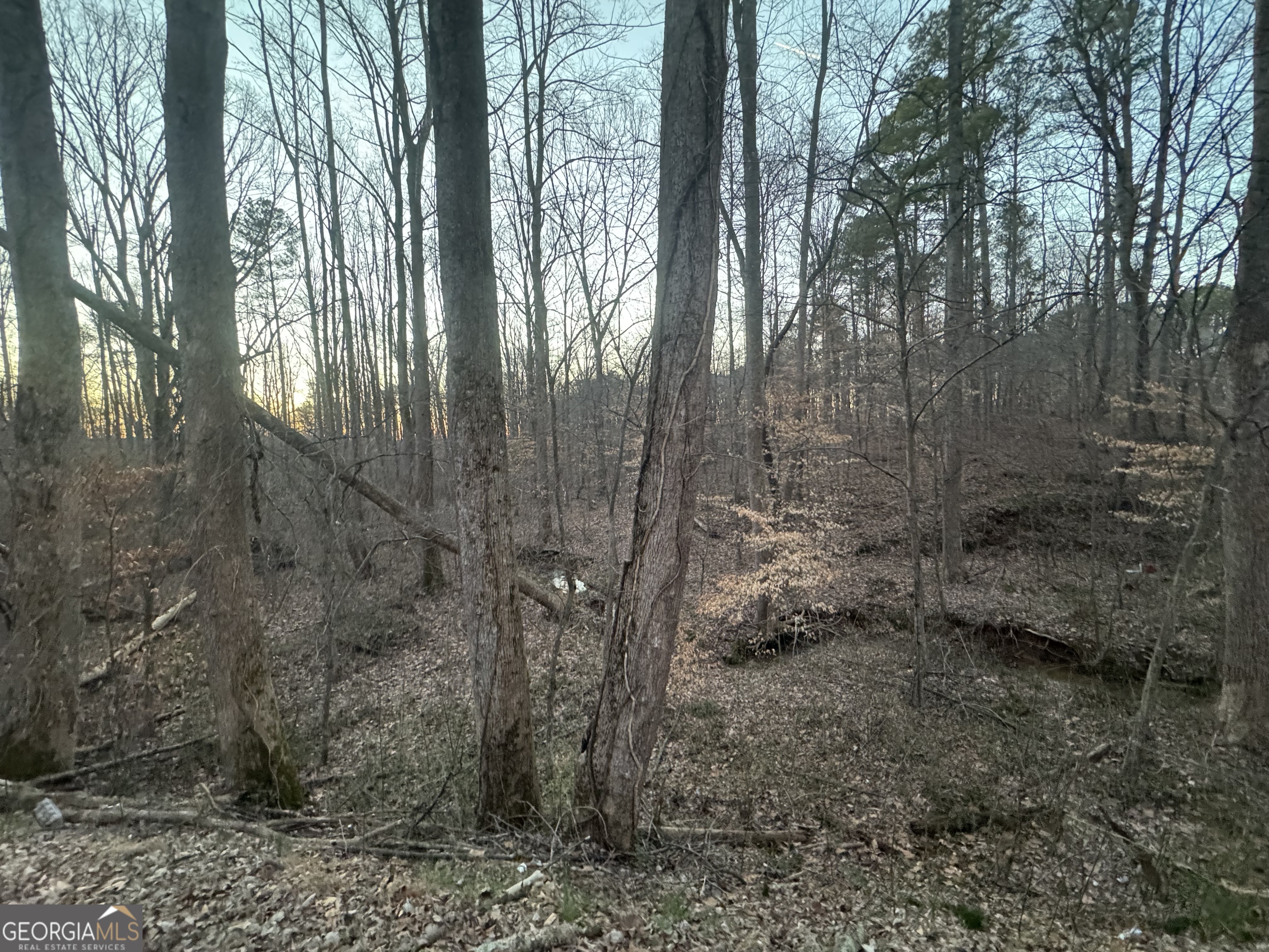 369 Thompson Lane Property Photo 4