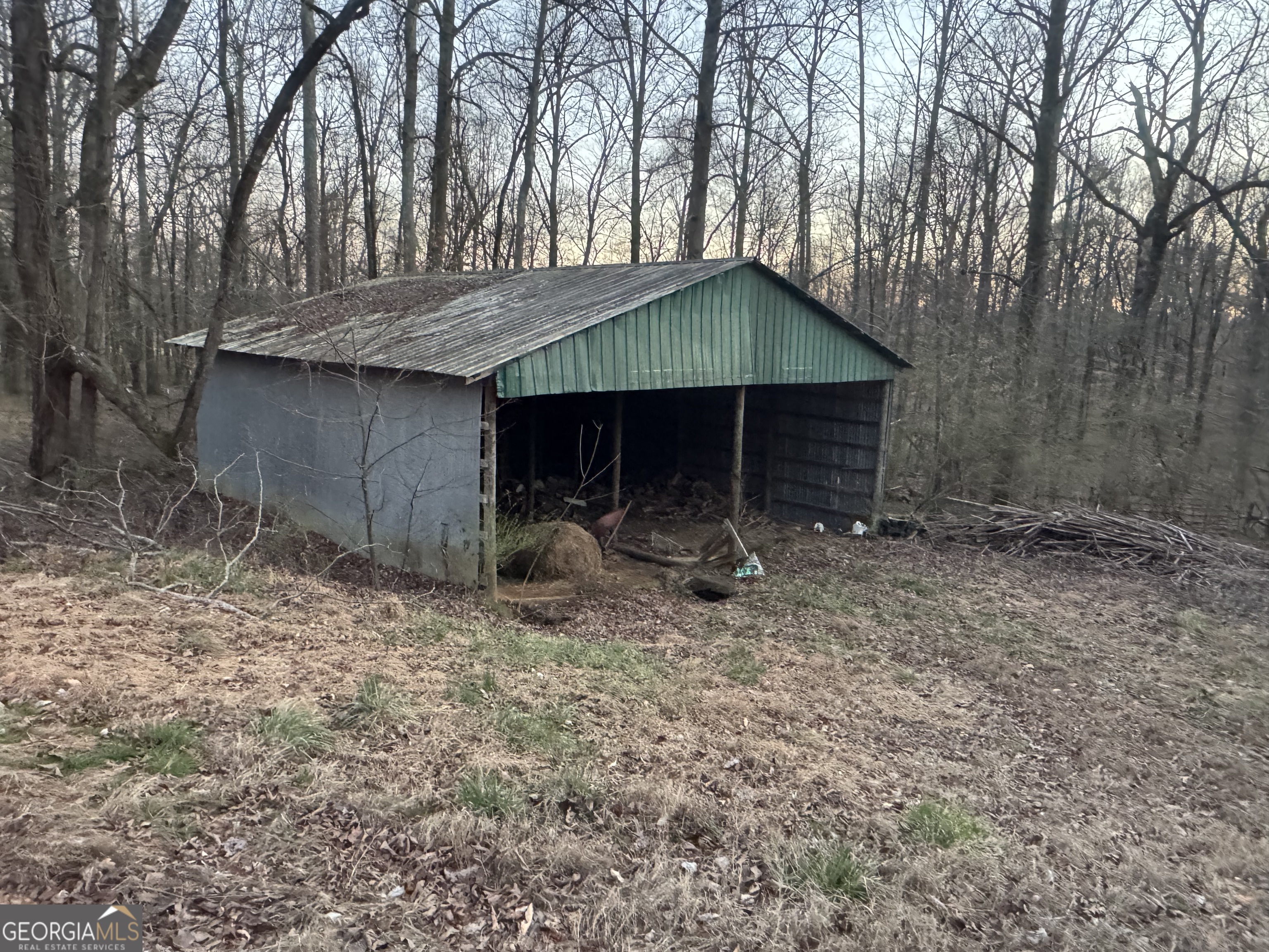 373 Thompson Lane Property Photo 4