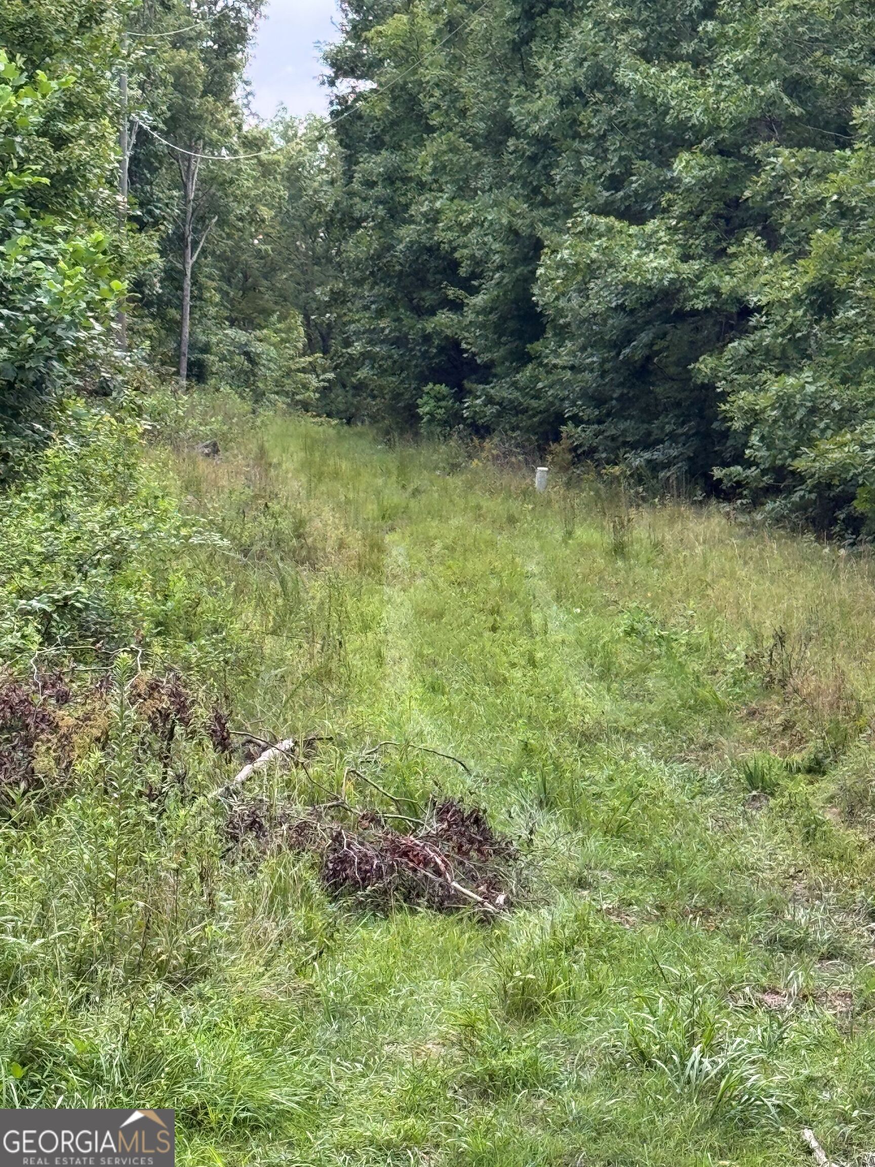 0 Tatum Gulf Road Property Photo 2