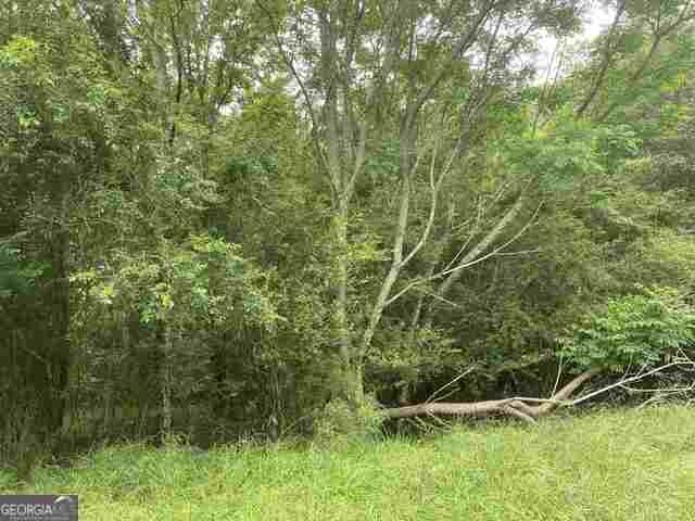 0 River Birch Lane Lot 9 Property Photo 1