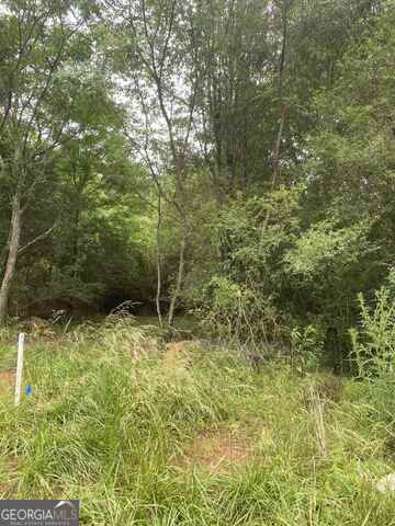 0 River Birch Lane Lot 9 Property Photo 2