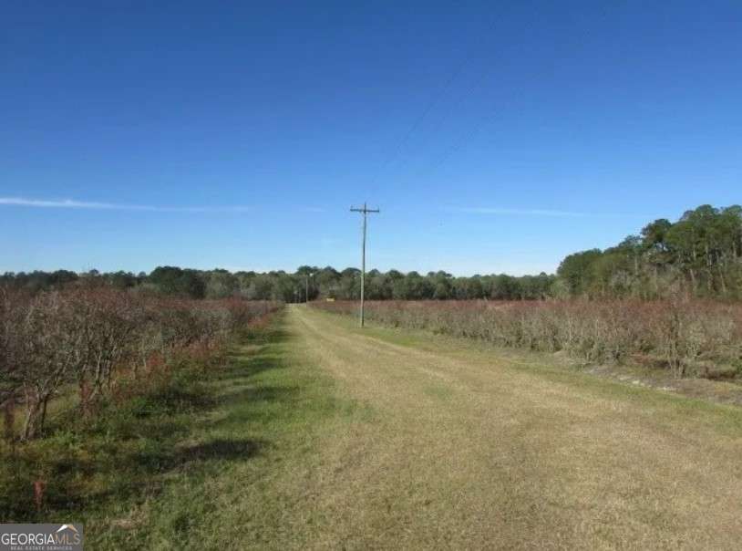 1019 D H Alderman Road Property Photo 43
