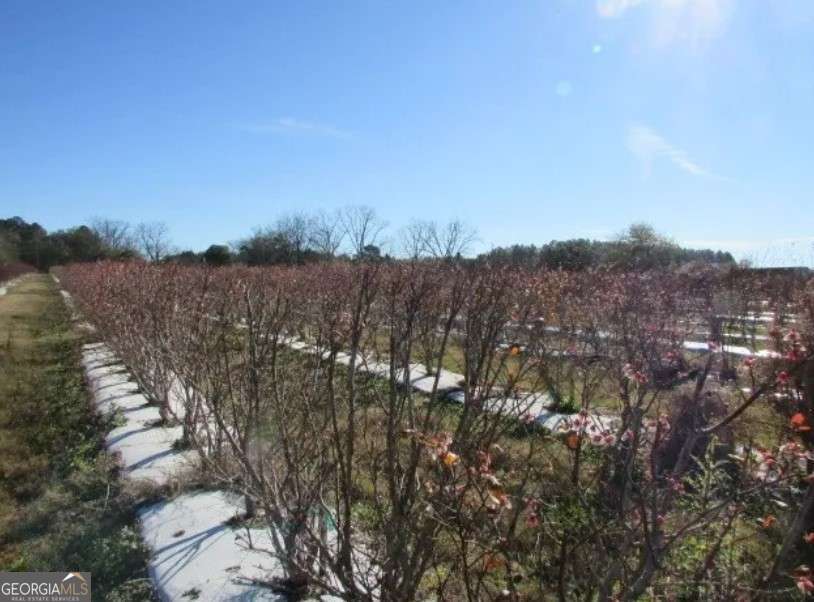 1019 D H Alderman Road Property Photo 44