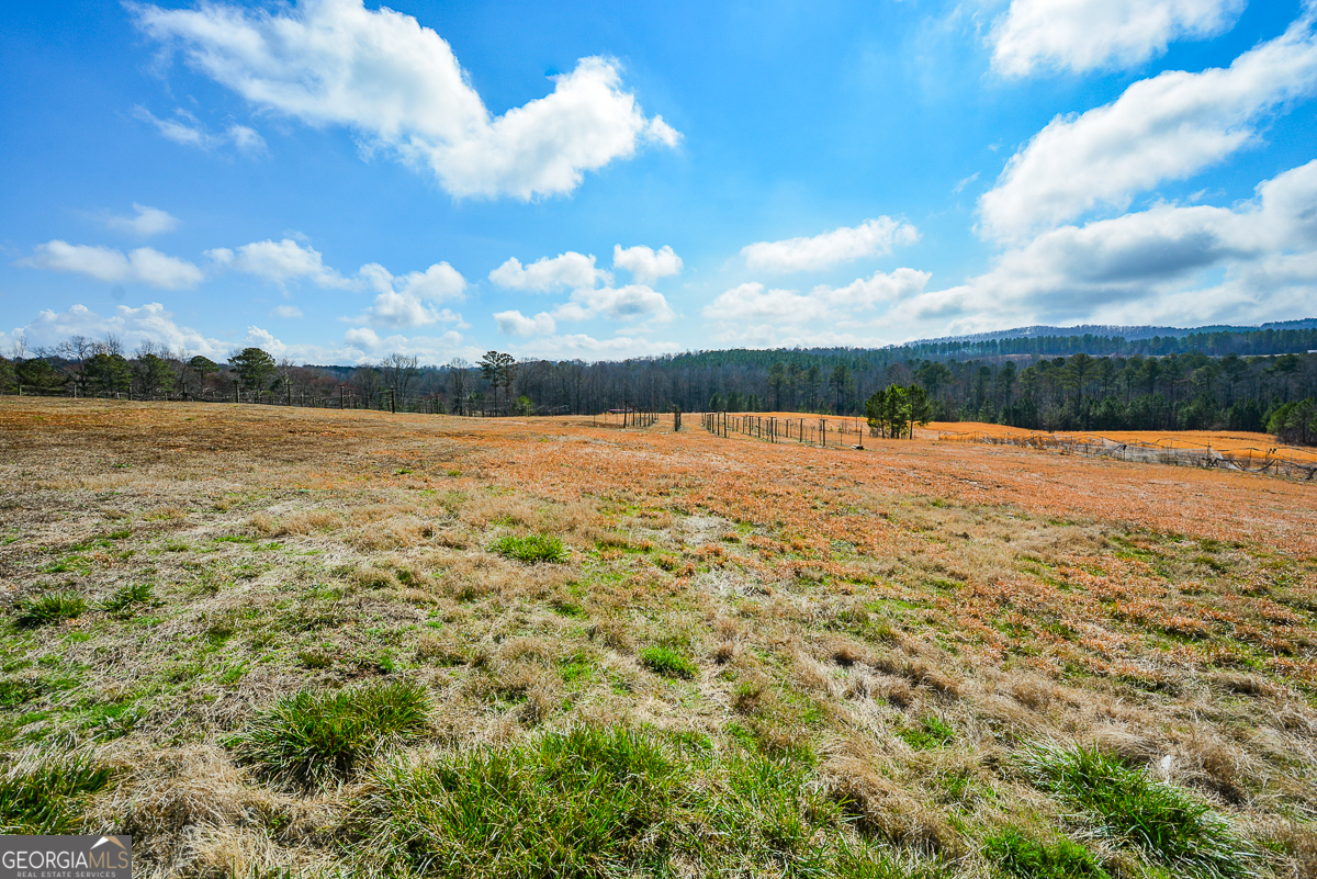 119 Inland 4 Acres Drive Property Photo 4