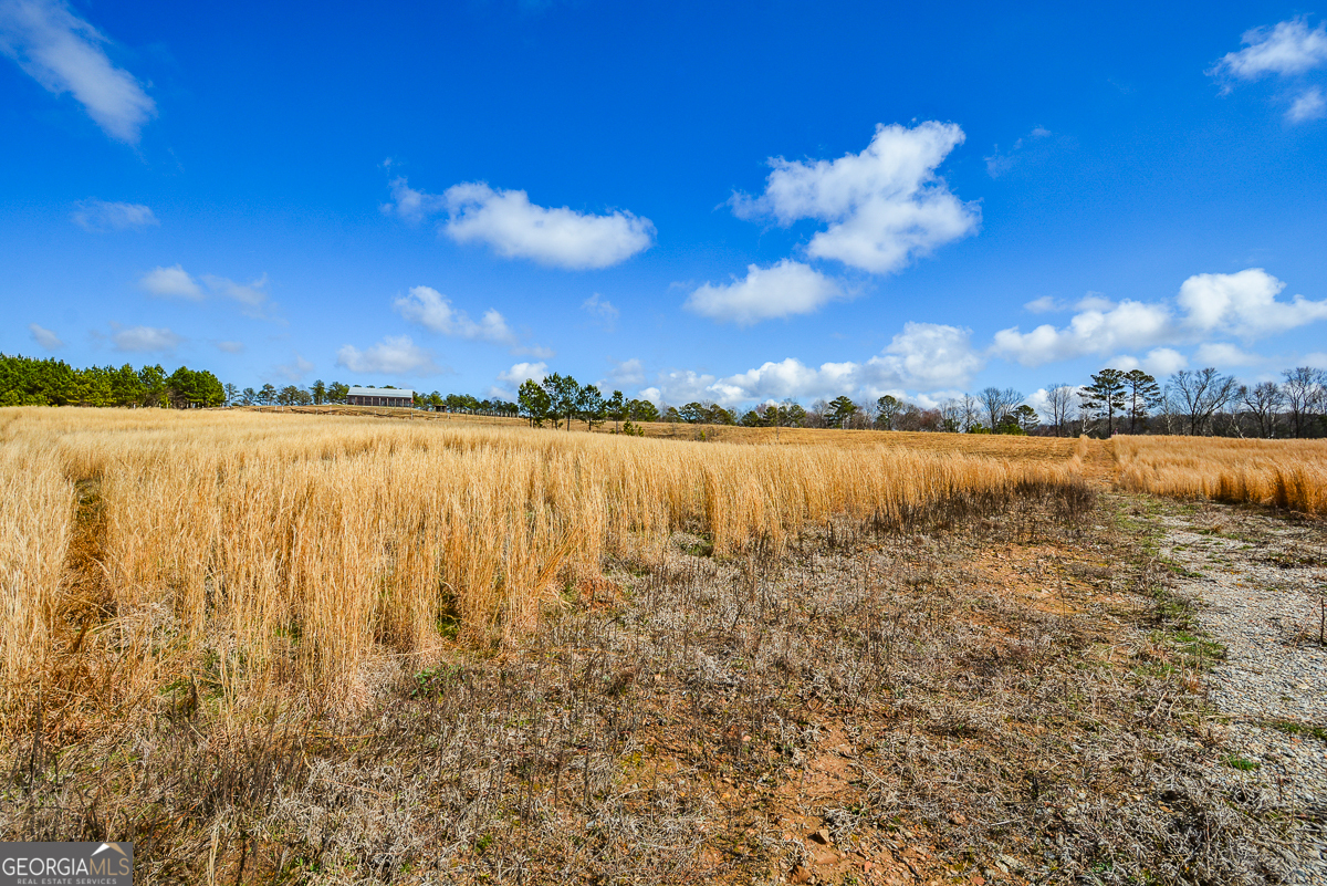 119 Inland 4 Acres Drive Property Photo 5