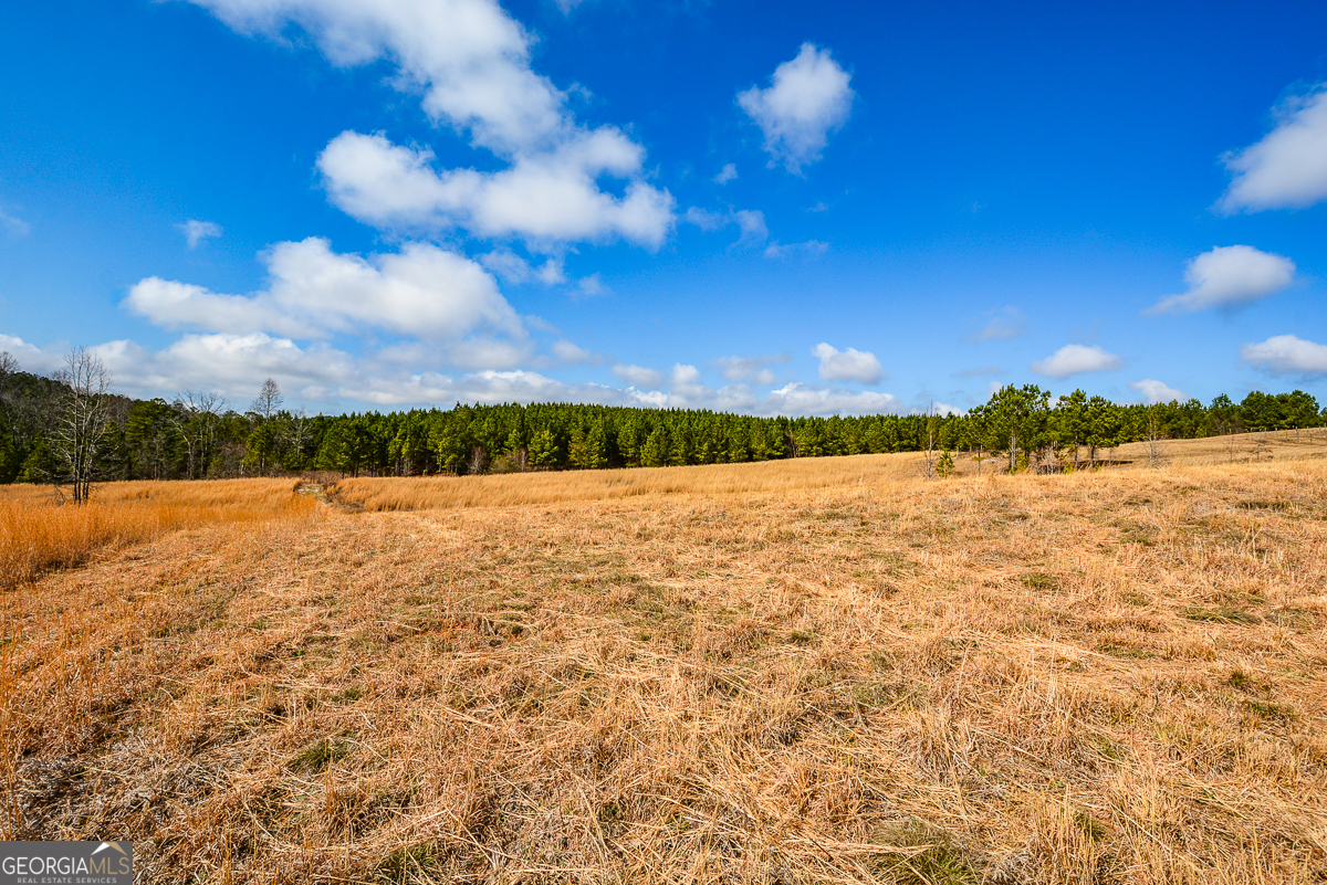119 Inland 4 Acres Drive Property Photo 6