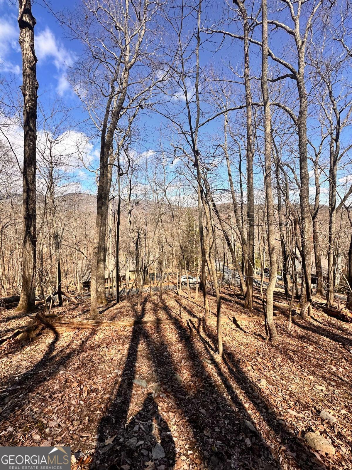 8041 Wilderness Parkway Property Photo 3