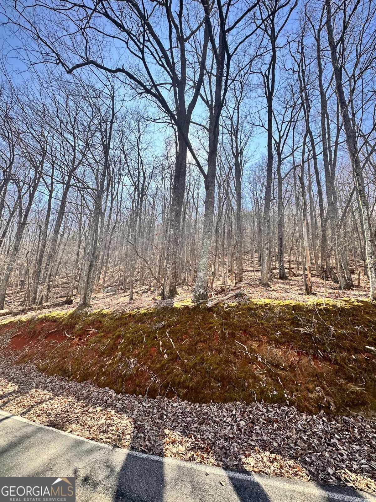 8041 Wilderness Parkway Property Photo 6
