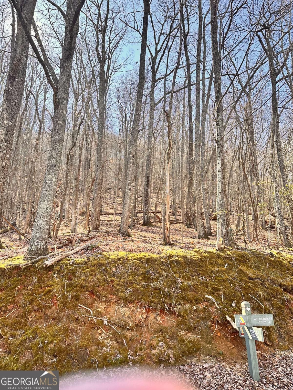 8041 Wilderness Parkway Property Photo 7