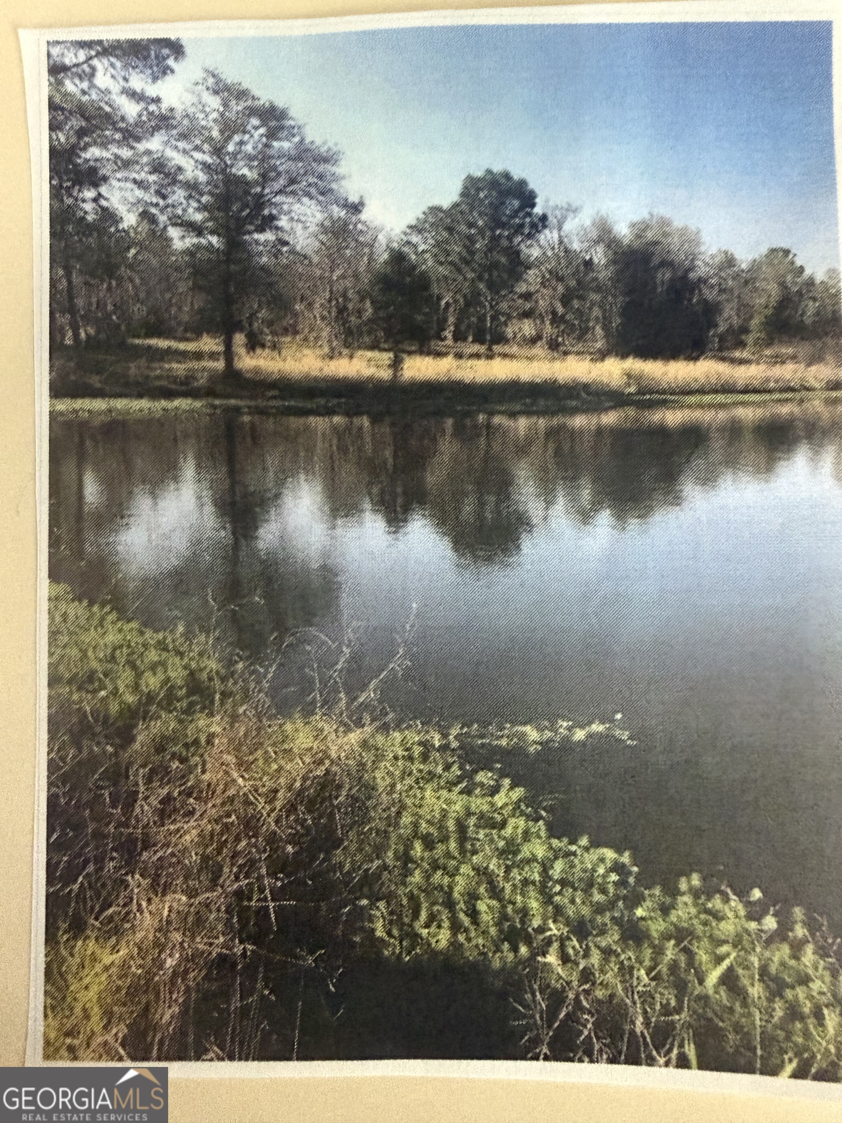 0 Henry-mimbs Property Photo 1