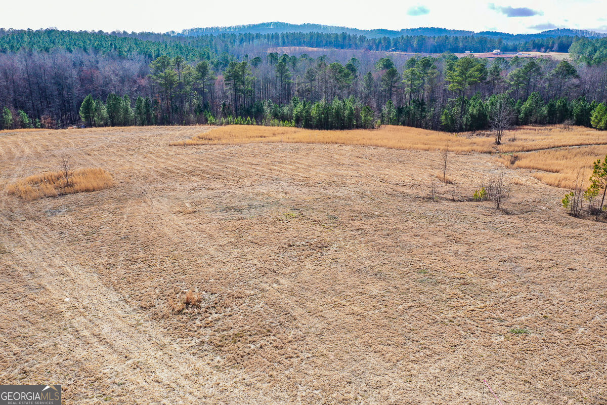 119 Inland 10 Acres Drive Property Photo 7