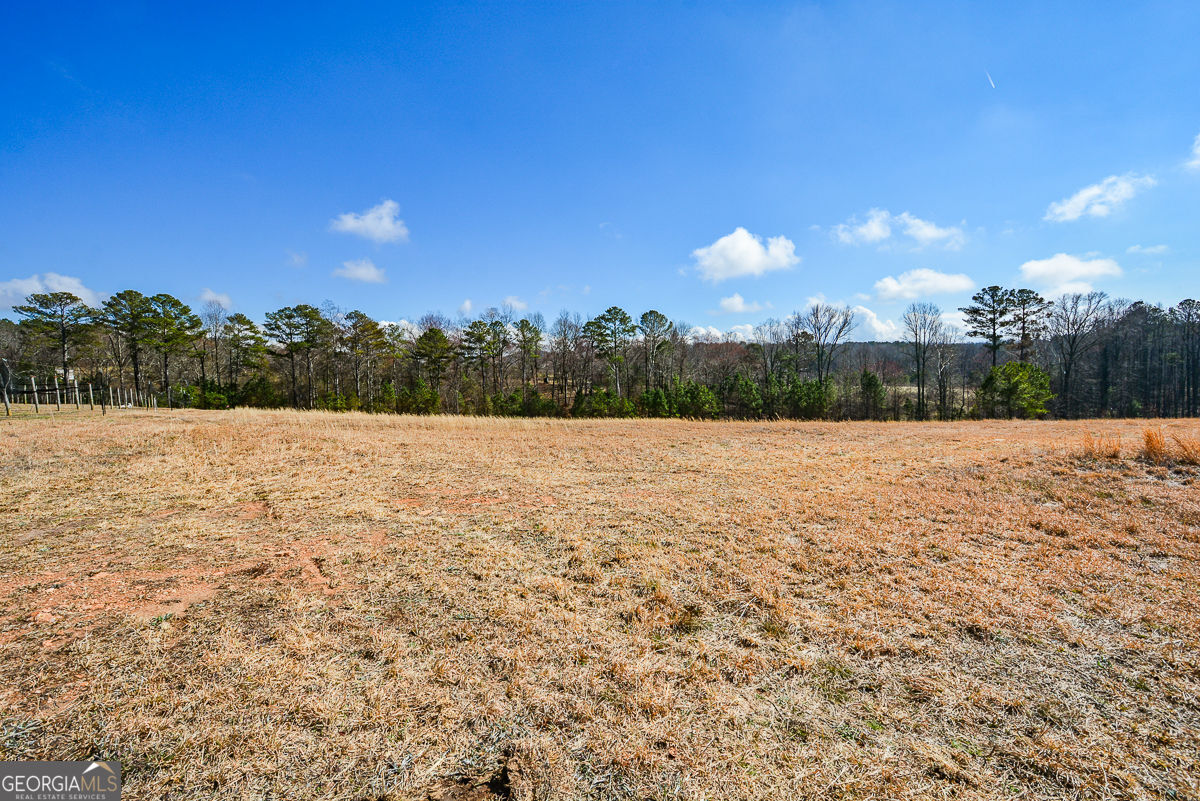 119 Inland 10 Acres Drive Property Photo 9